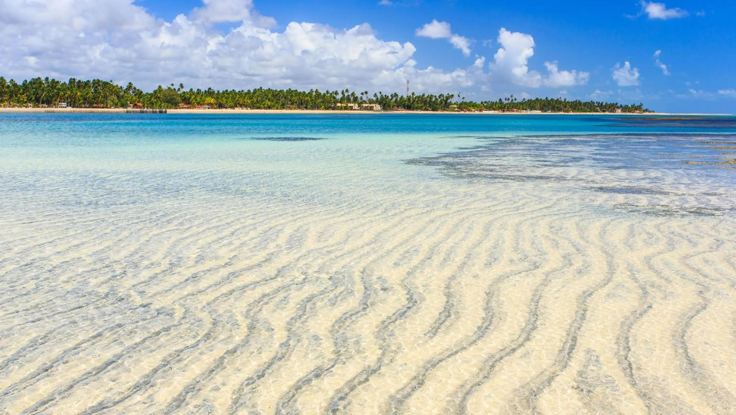 Beach in Chales Maragogi