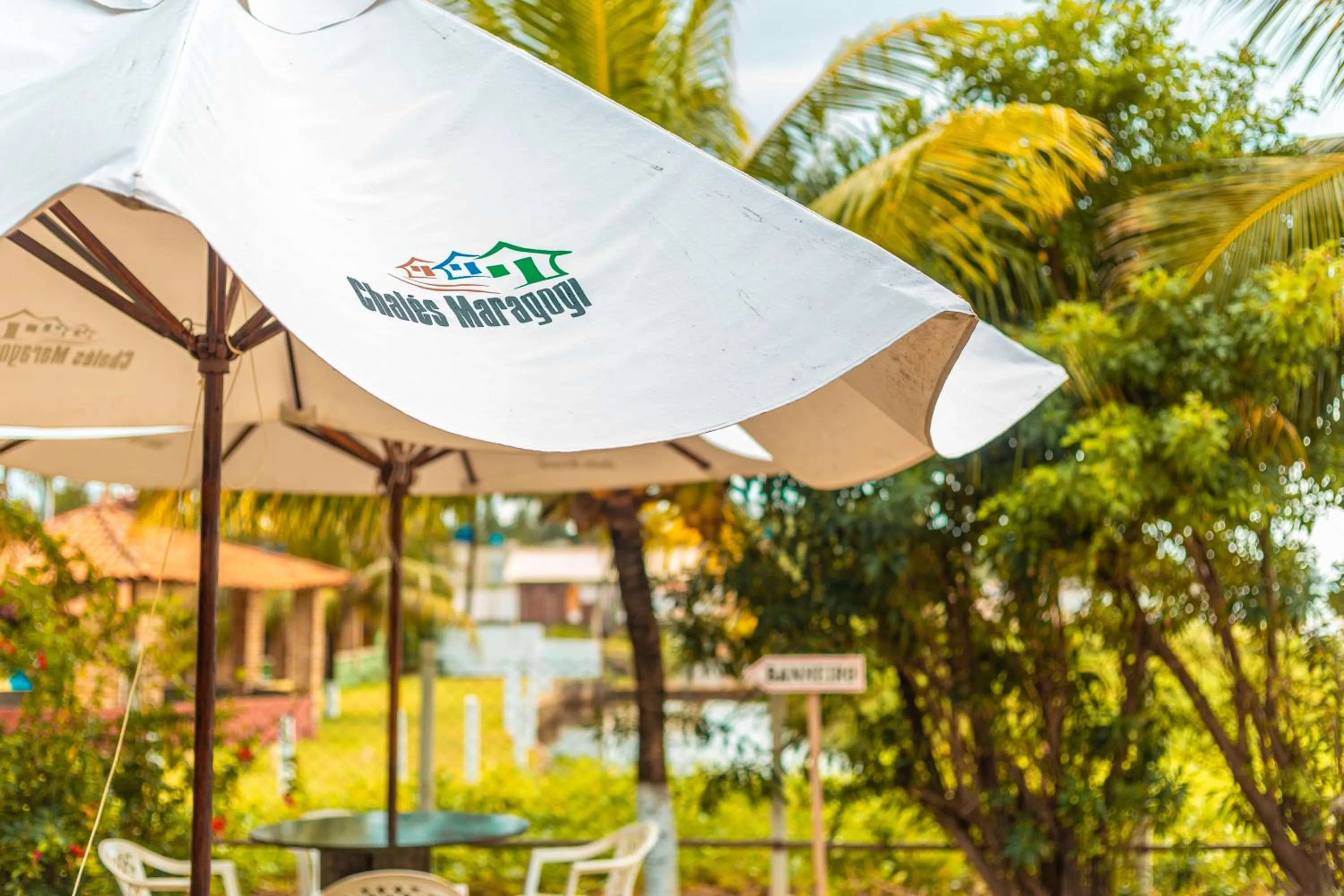 Swimming pool in Chales Maragogi