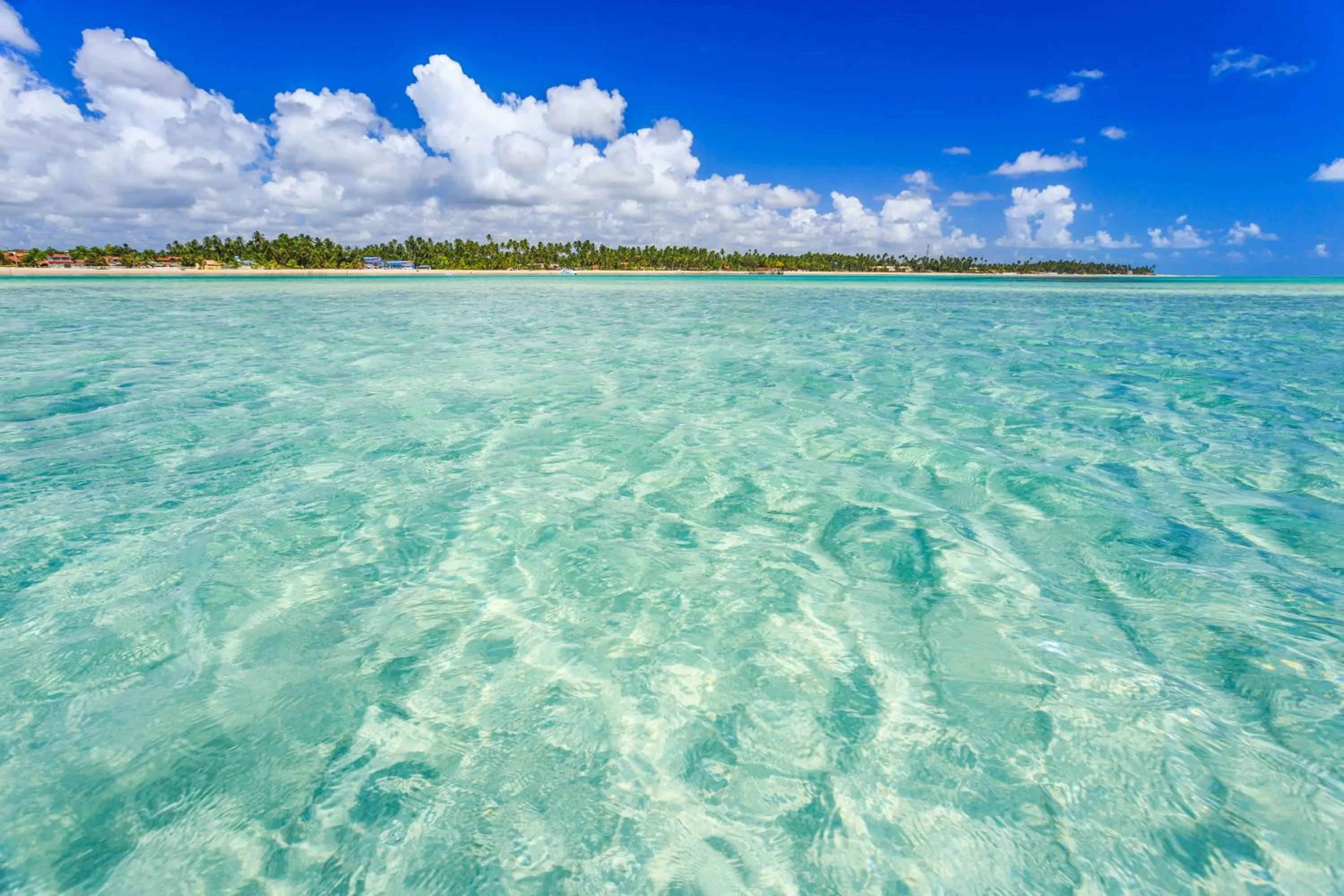 Beach in Chales Maragogi