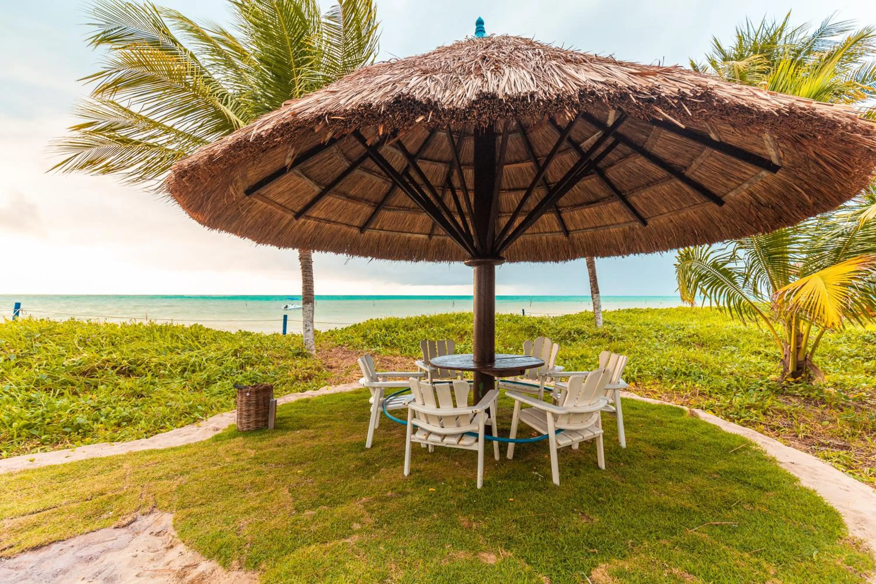 Beach in Chales Maragogi