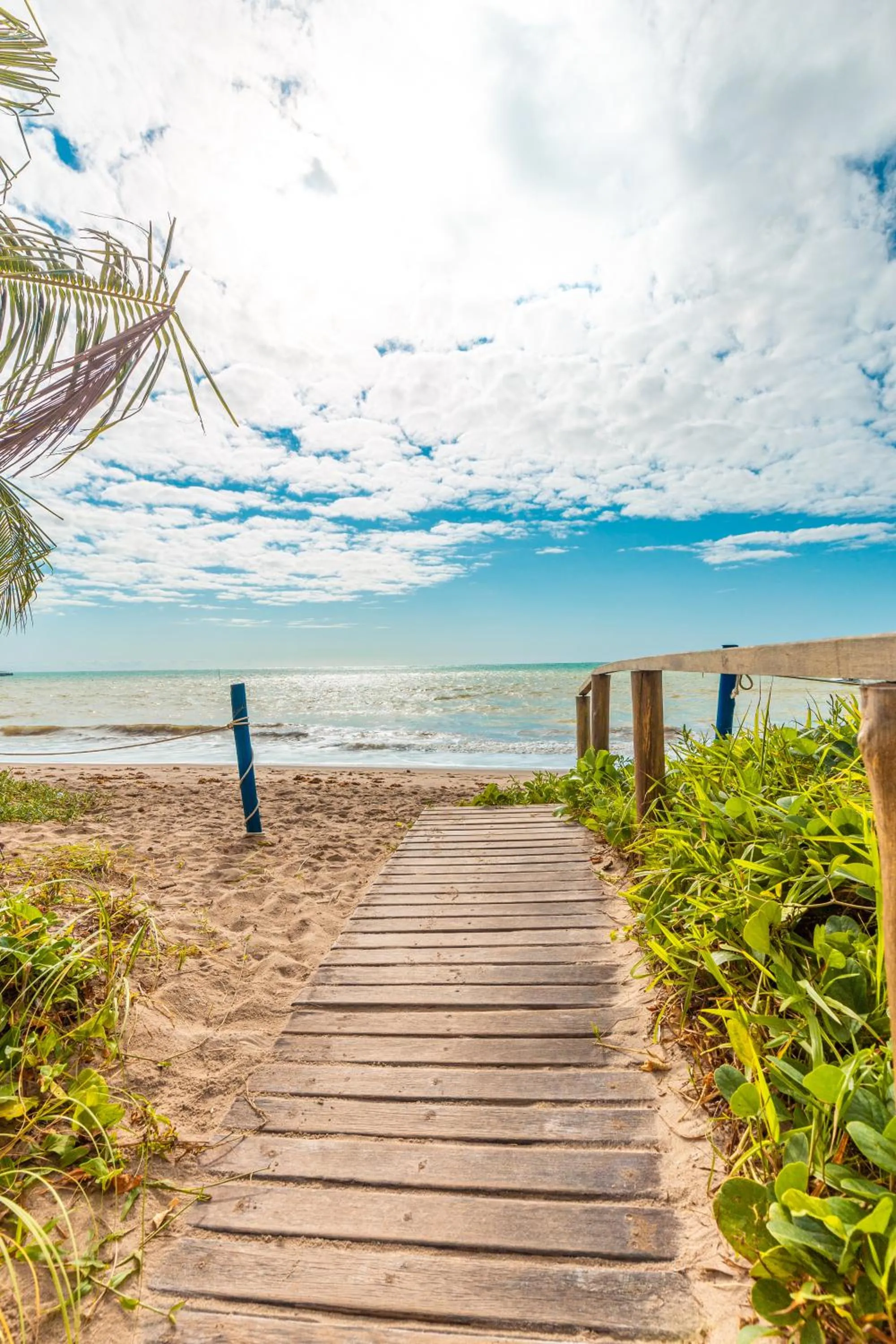 Beach in Chales Maragogi