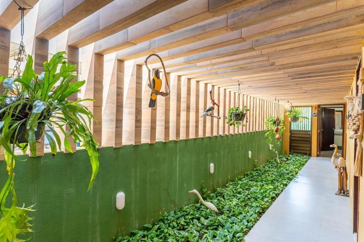 Garden in Chales Maragogi