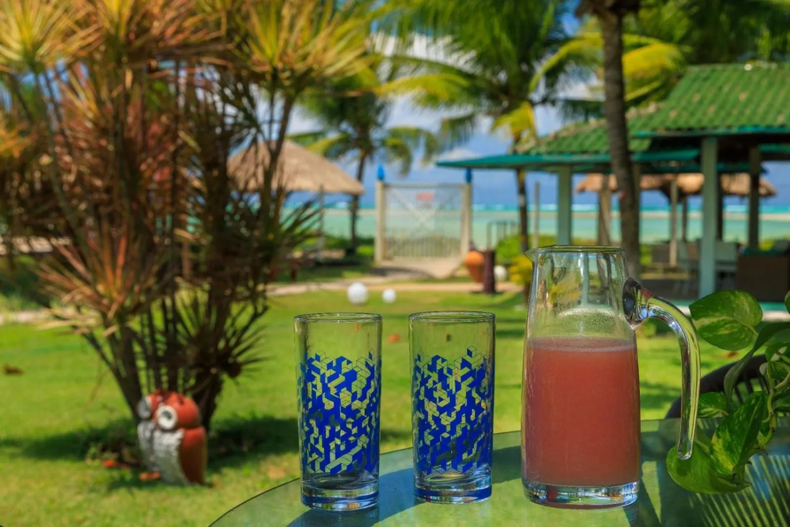 Natural landscape in Chales Maragogi