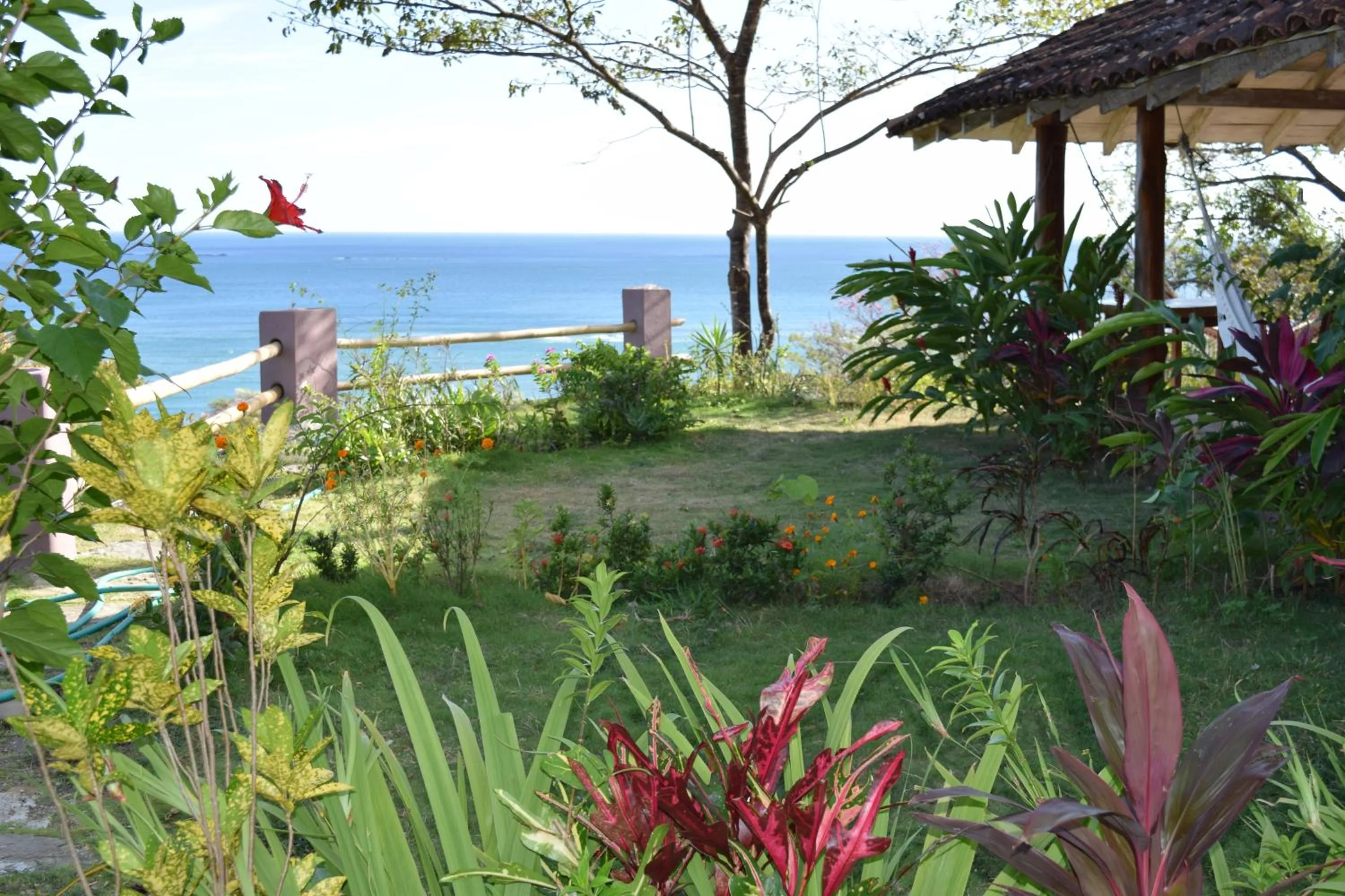 Garden view in Hotel Kambutaleko