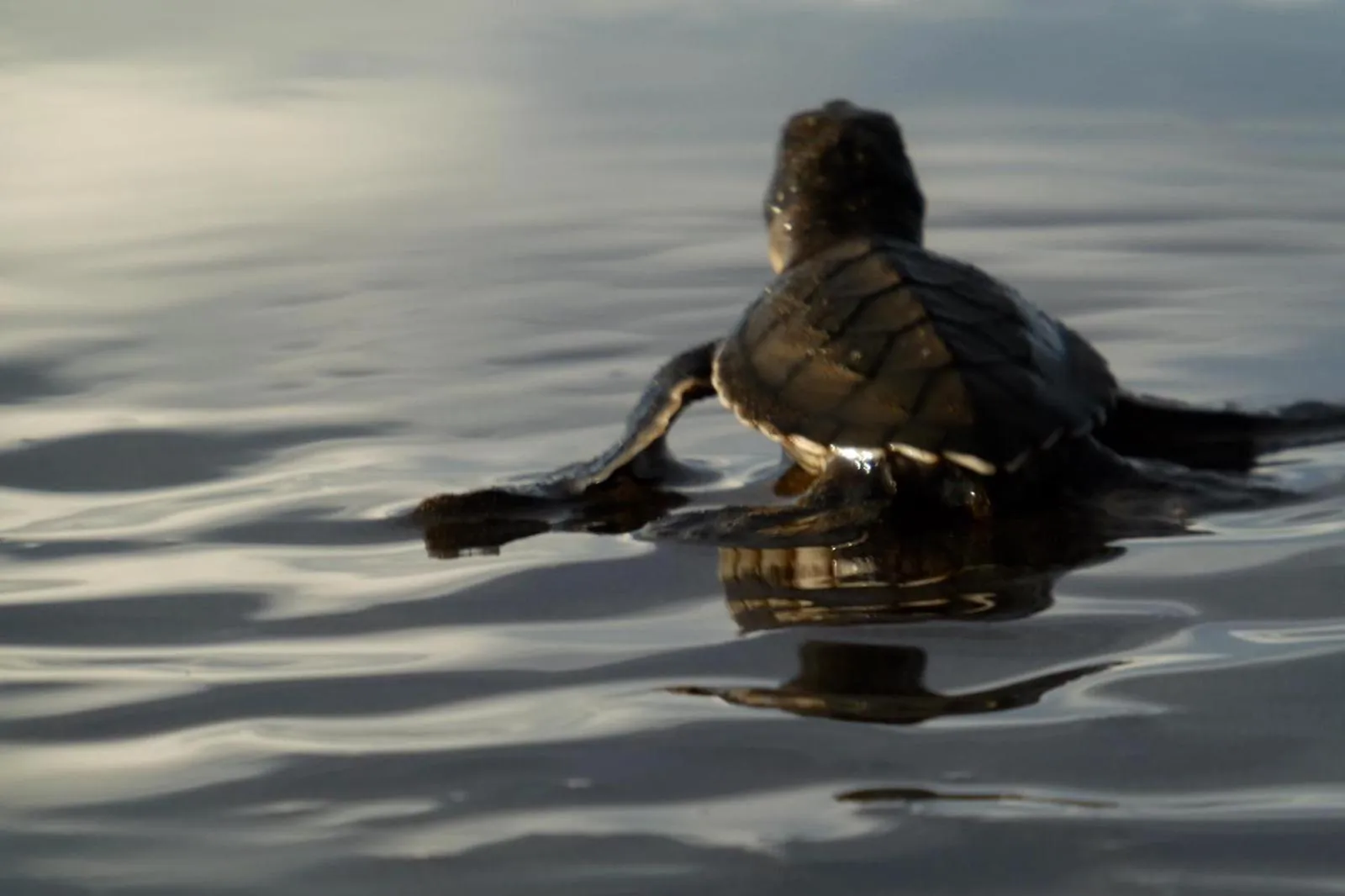 Activities in Hotel Kambutaleko