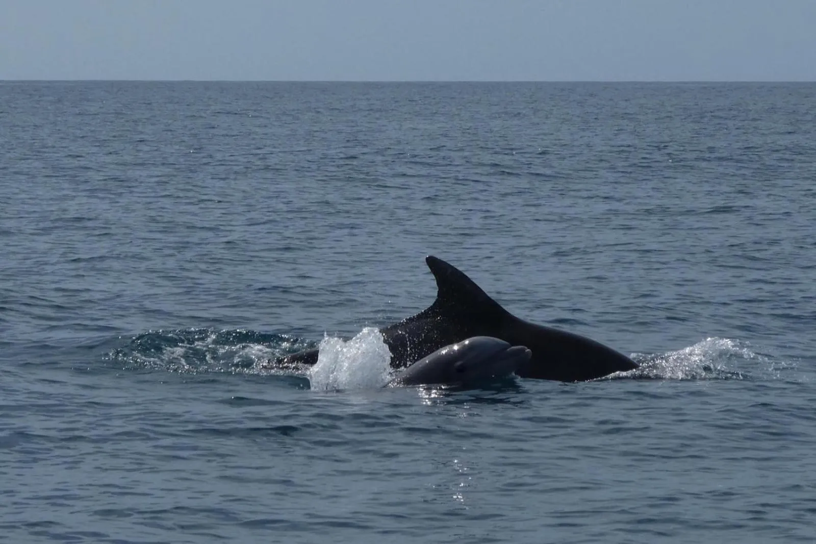 Activities in Hotel Kambutaleko
