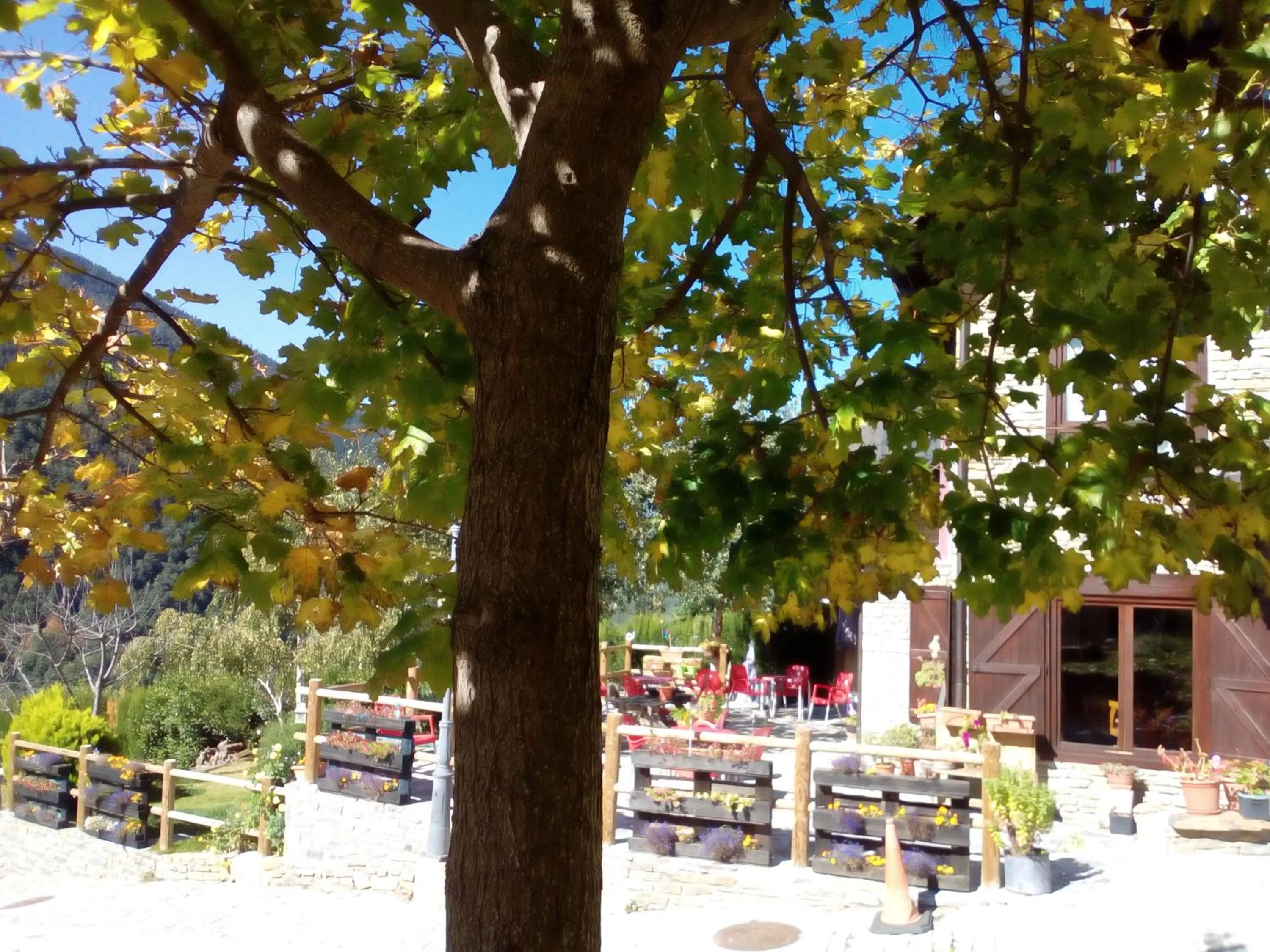 Garden view in Hotelet de Betlan