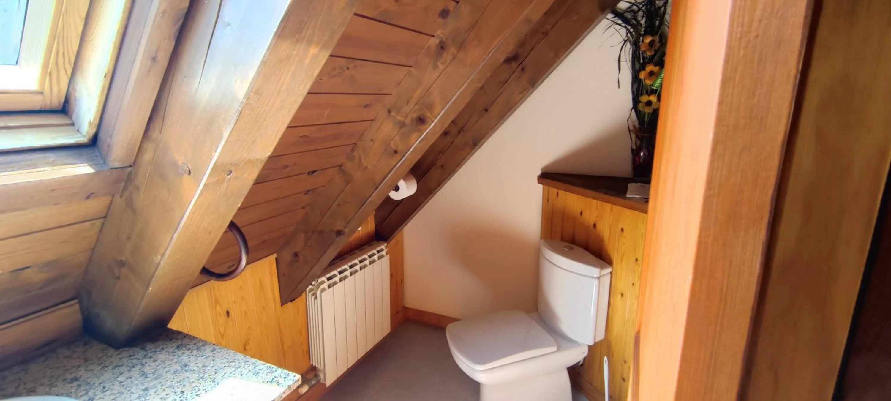 Toilet in Hotelet de Betlan