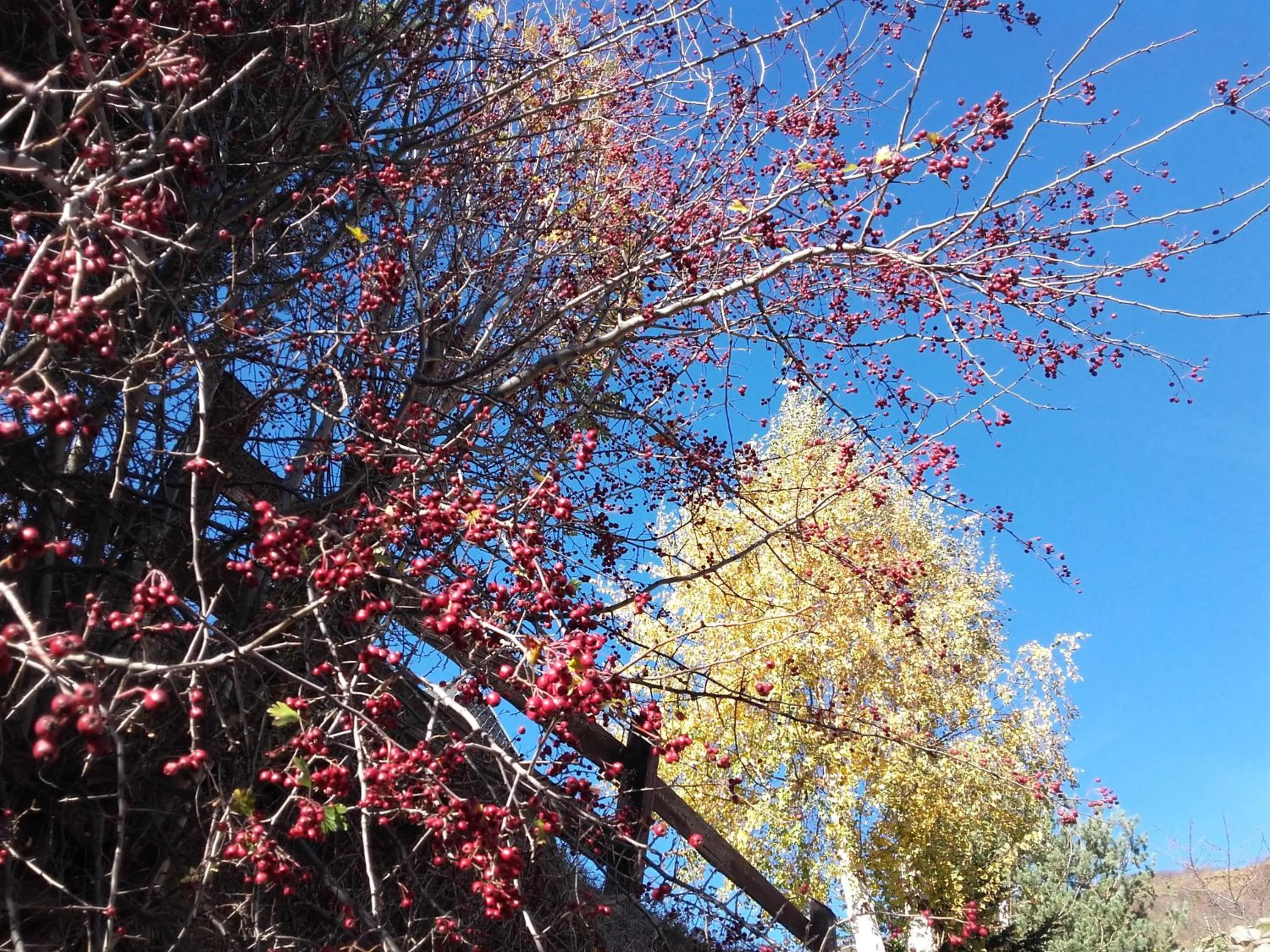 Neighbourhood in Hotelet de Betlan