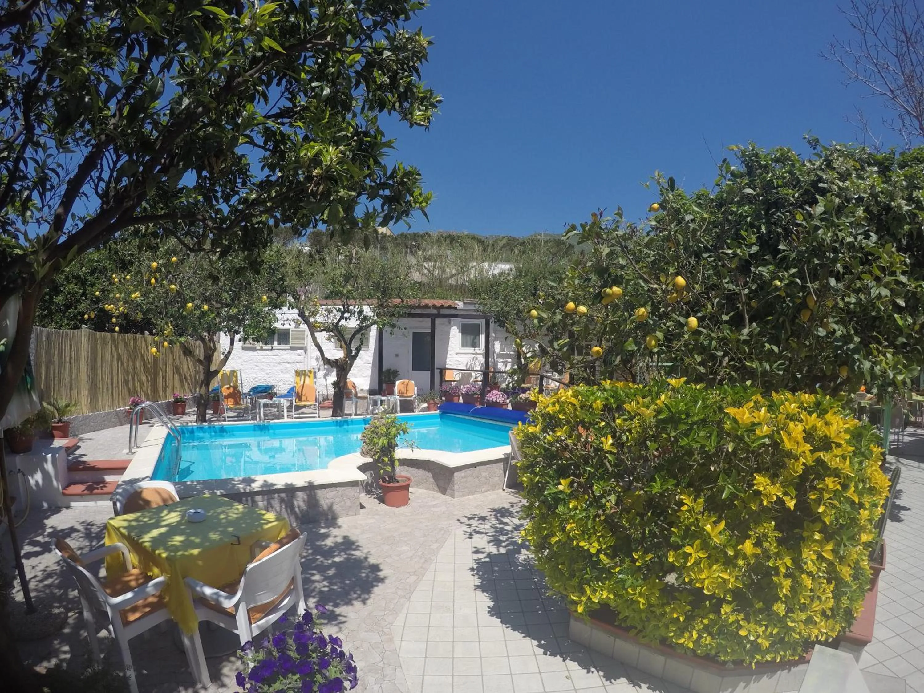 Pool view in hotel la rondinella