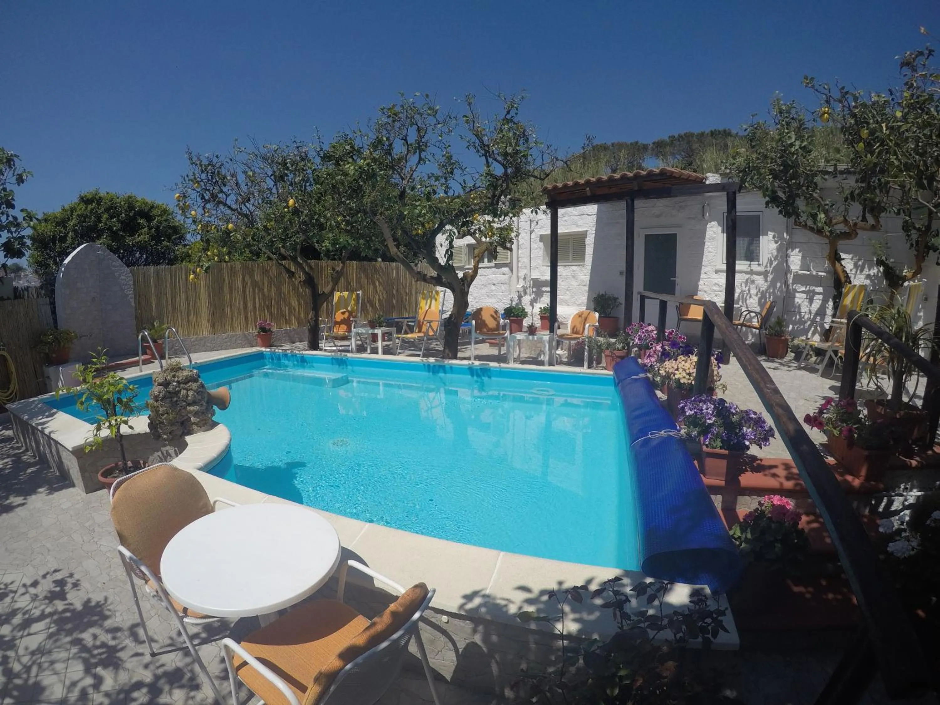 Pool view in hotel la rondinella