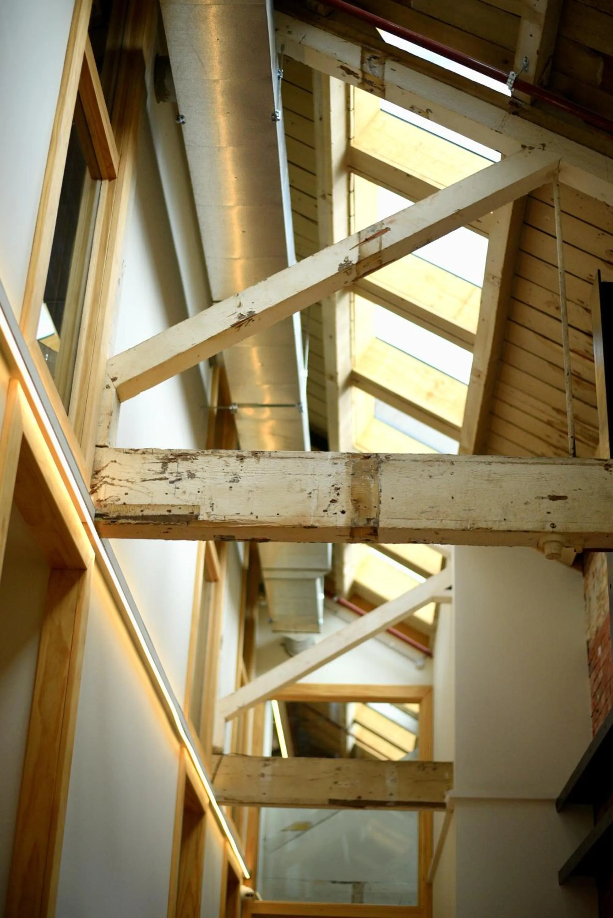 Property building in The Marion Hostel