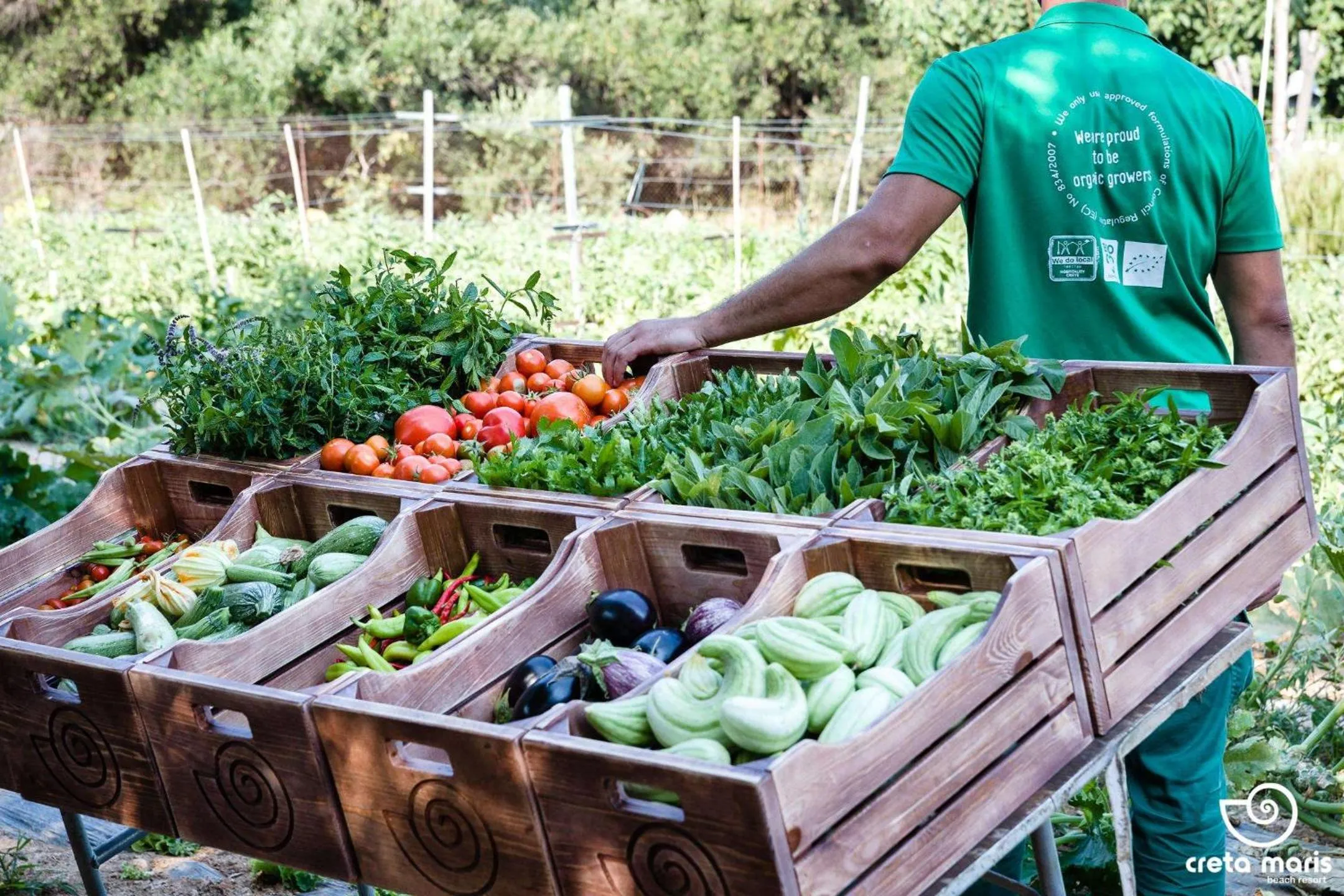 Garden in Creta Maris Resort