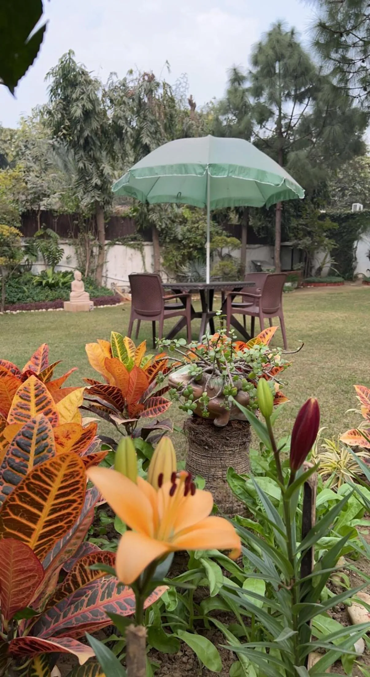 Garden view in The Stay Inn New Delhi