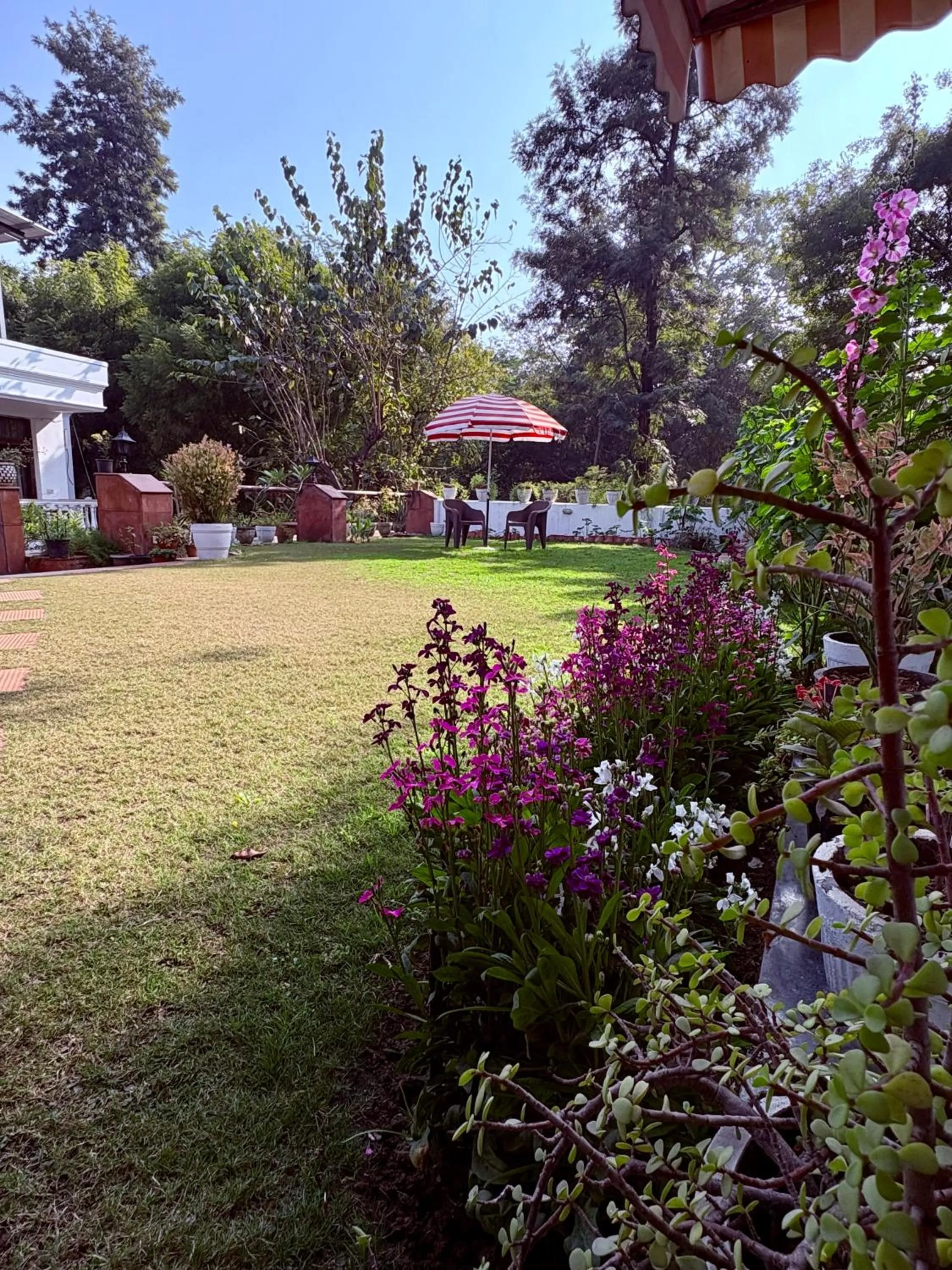 Garden view in The Stay Inn New Delhi