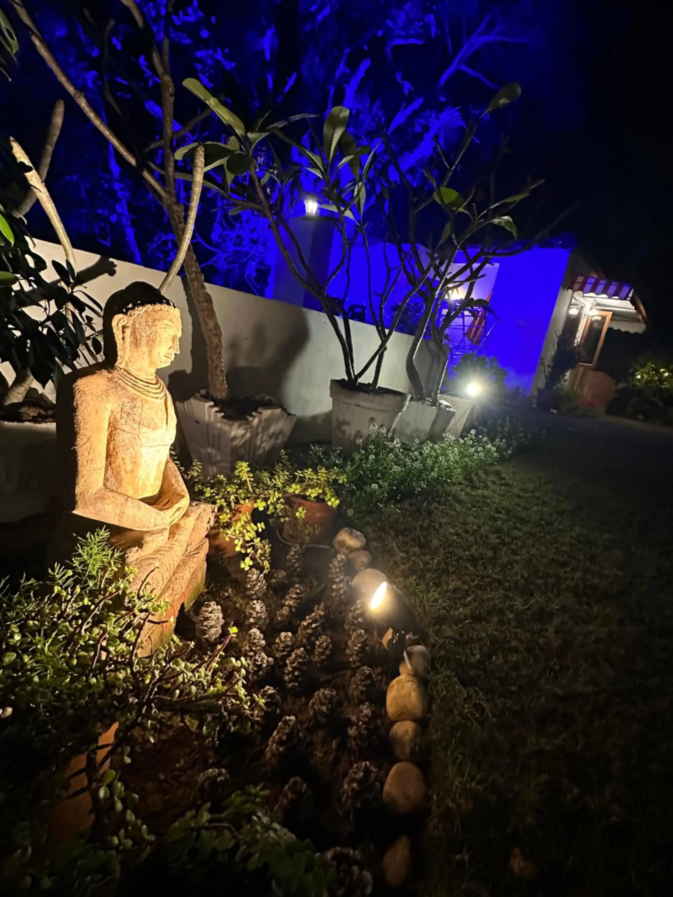 Night in The Stay Inn New Delhi