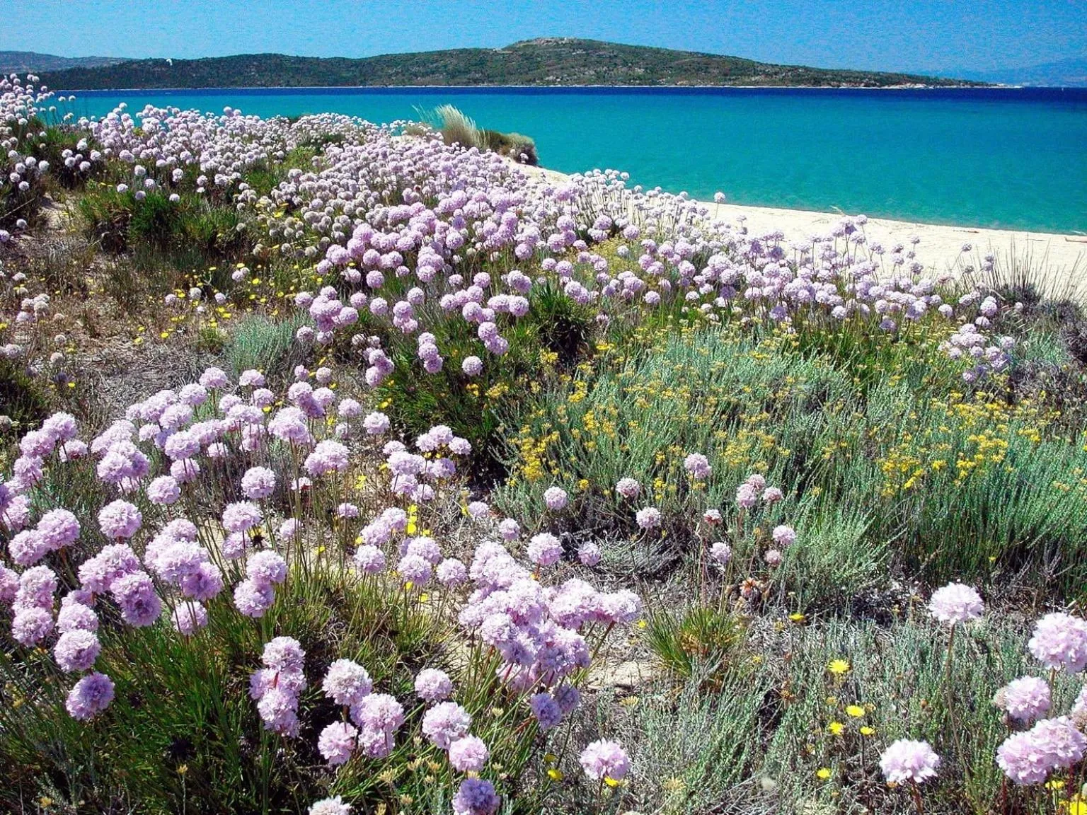 Hotel Porto Puddu - Il Nido dei Gabbiani