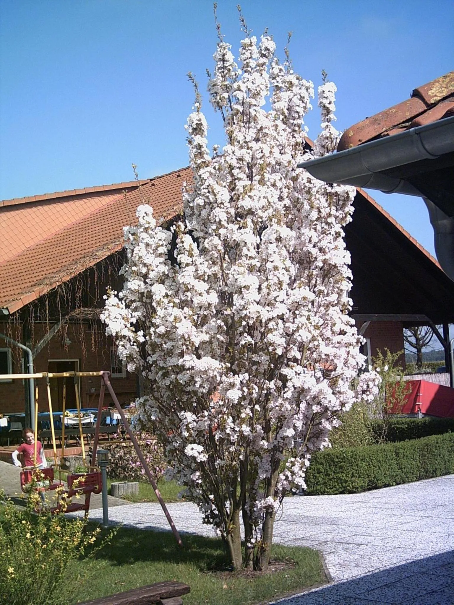 Property building in Hotel Marianne und Restaurant Kiek In