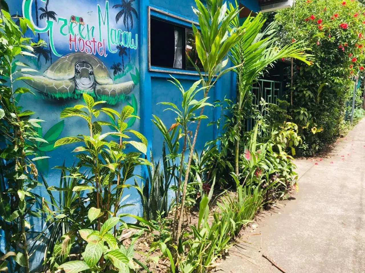 Green Macaw Hostel