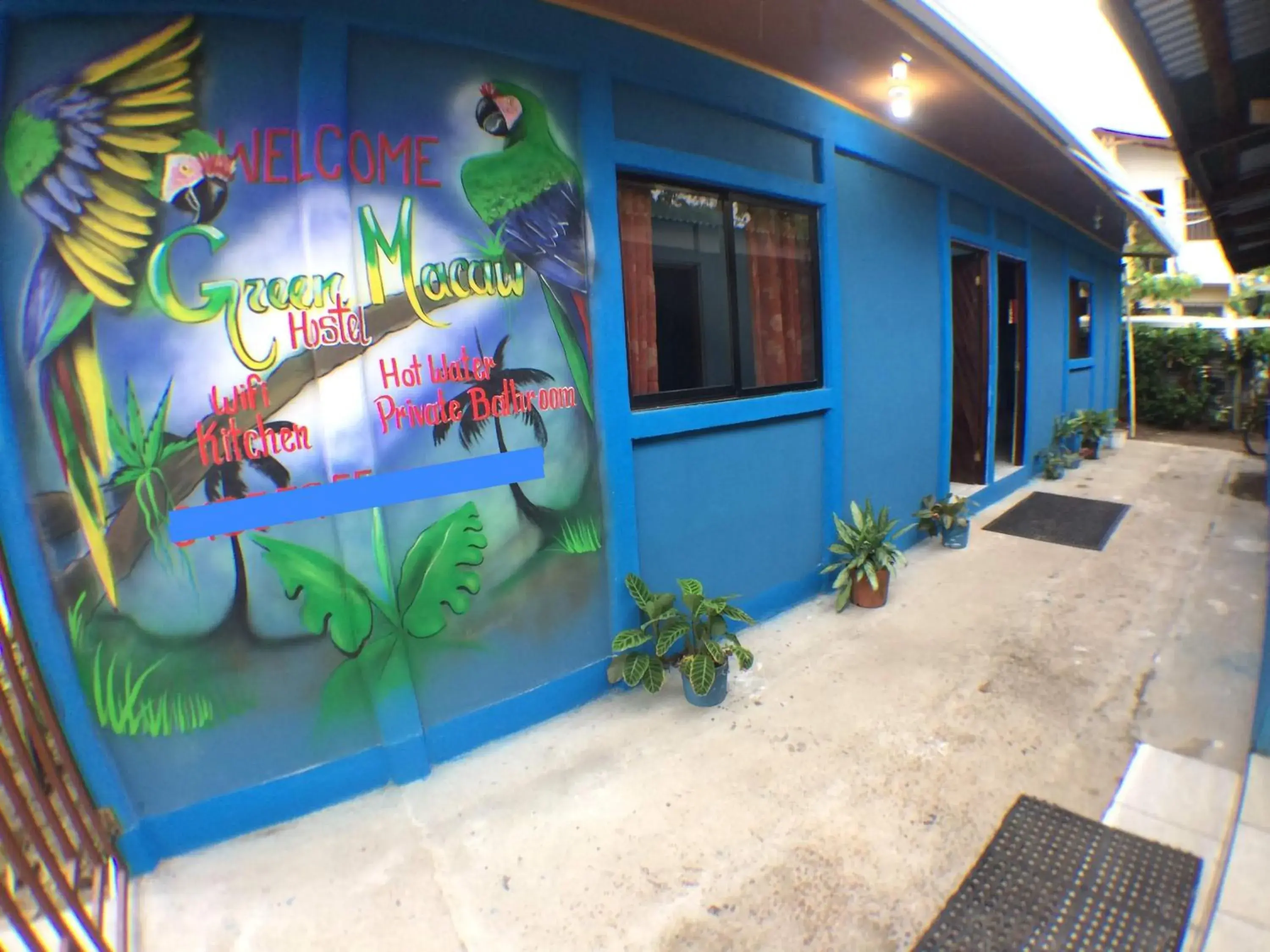 Green Macaw Hostel Green Macaw Hostel