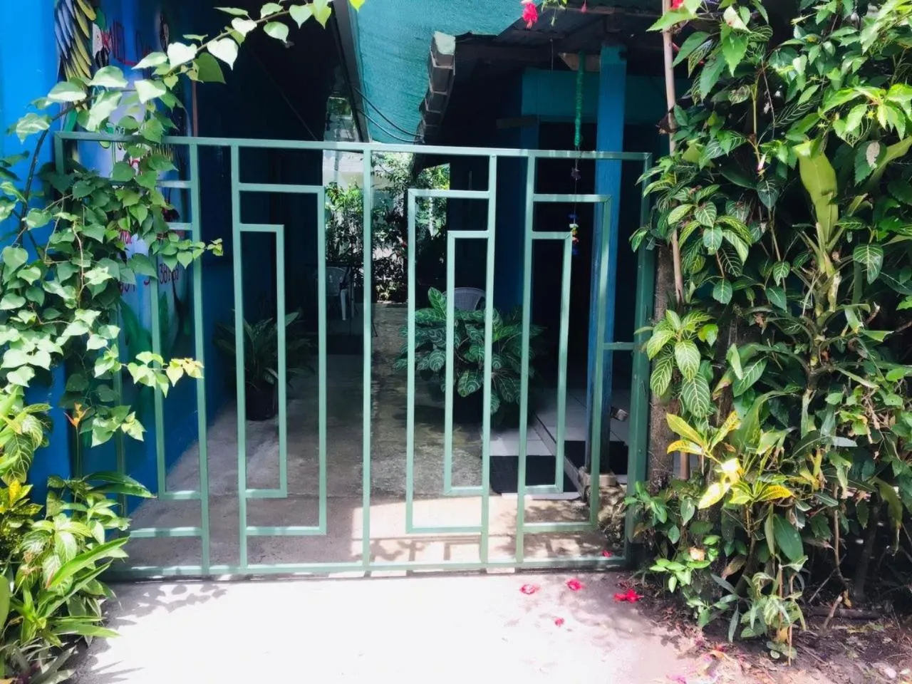 Green Macaw Hostel