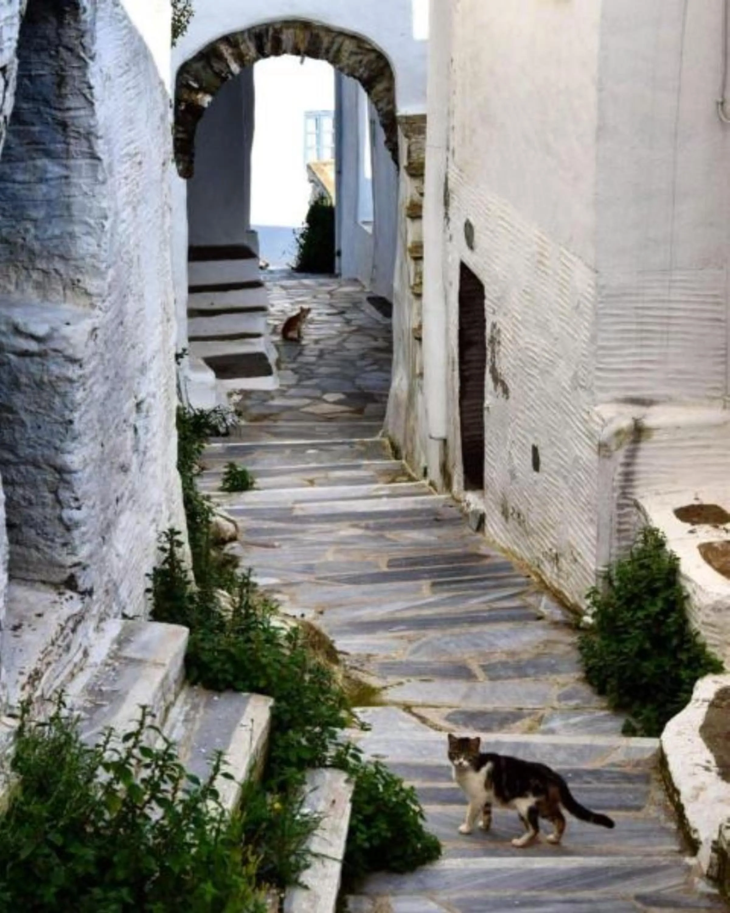 Tinos Suites & Apartments