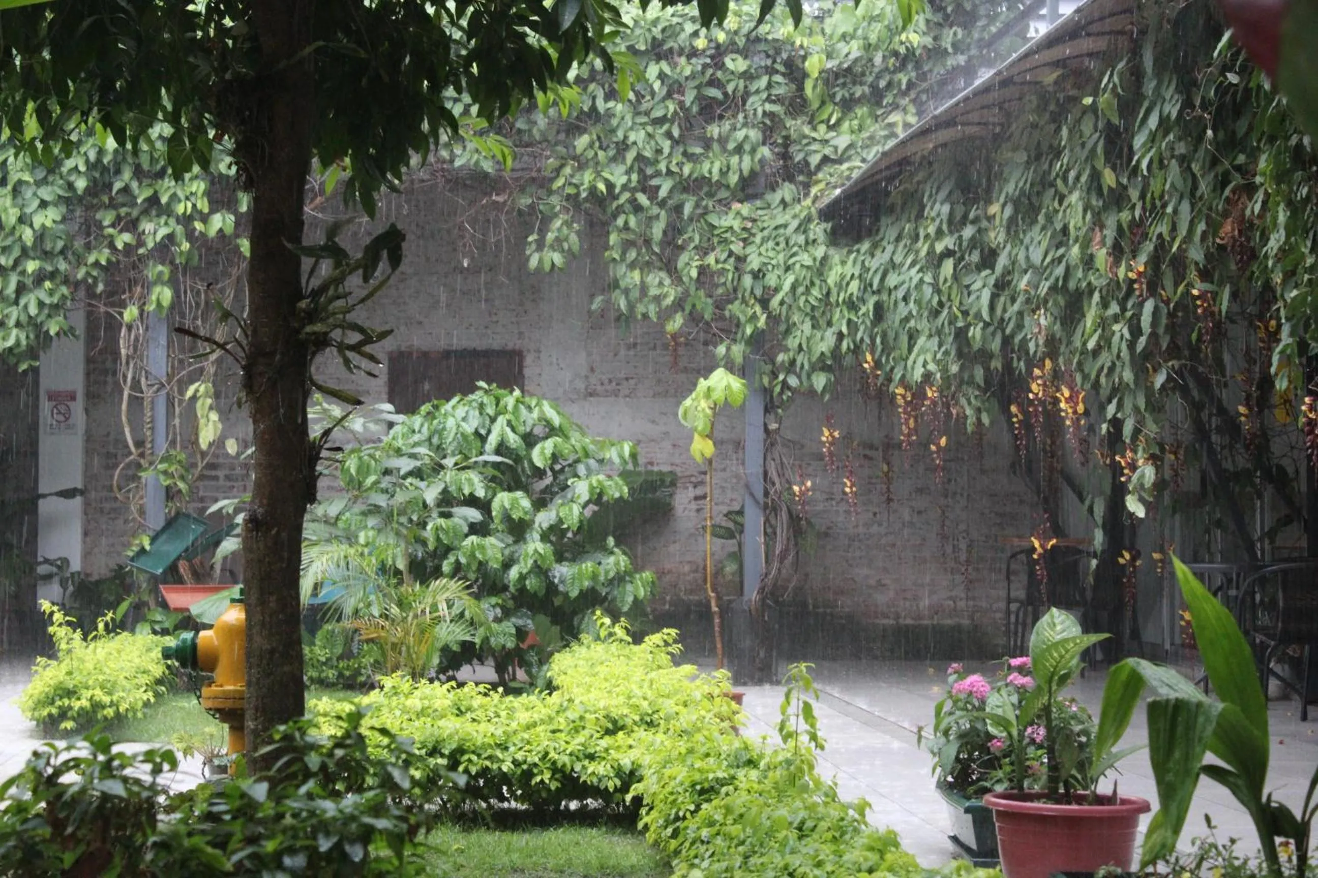 Garden in Cando Living Apartments in Central Avenue