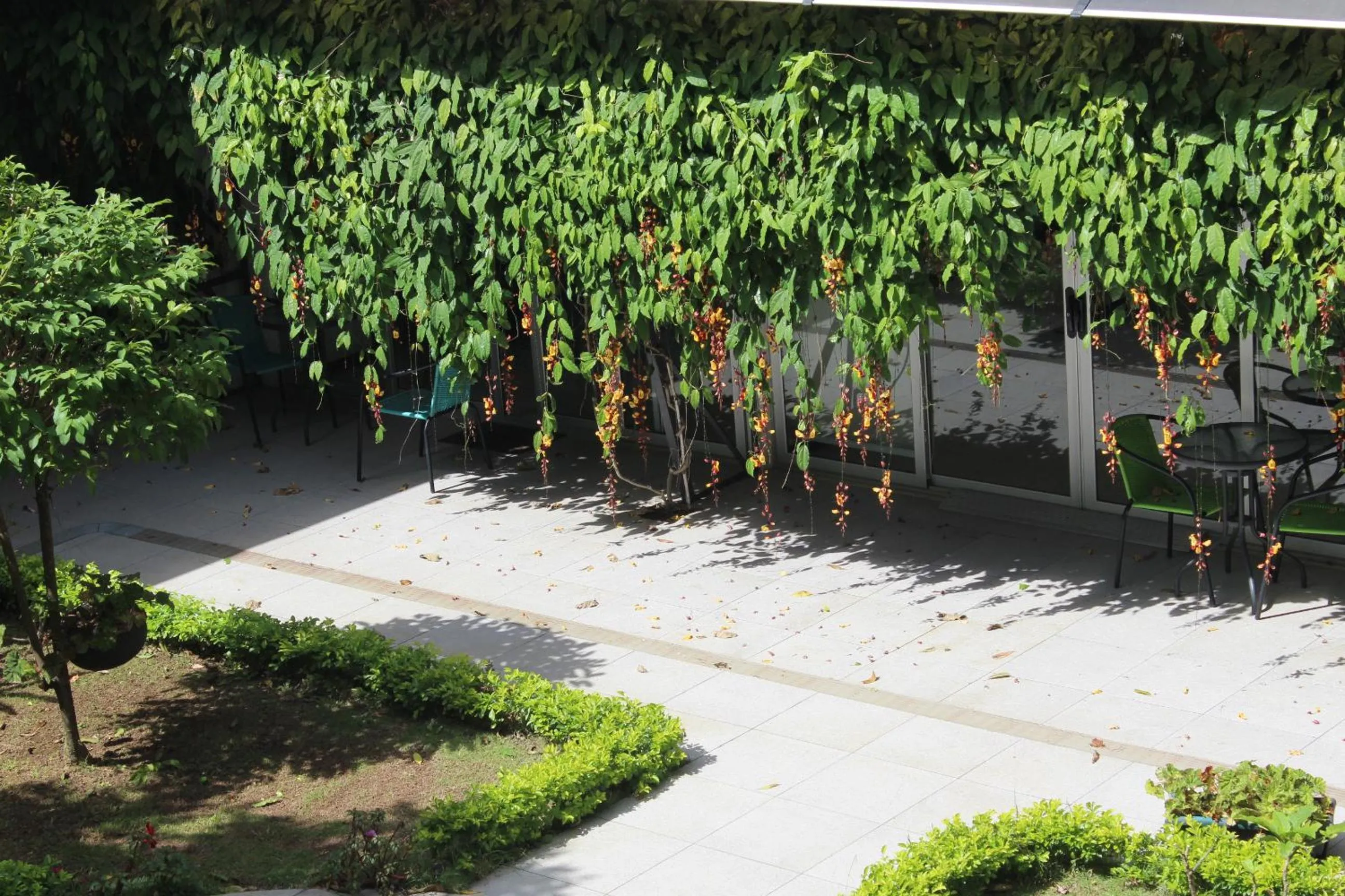 Natural landscape in Cando Living Apartments in Central Avenue