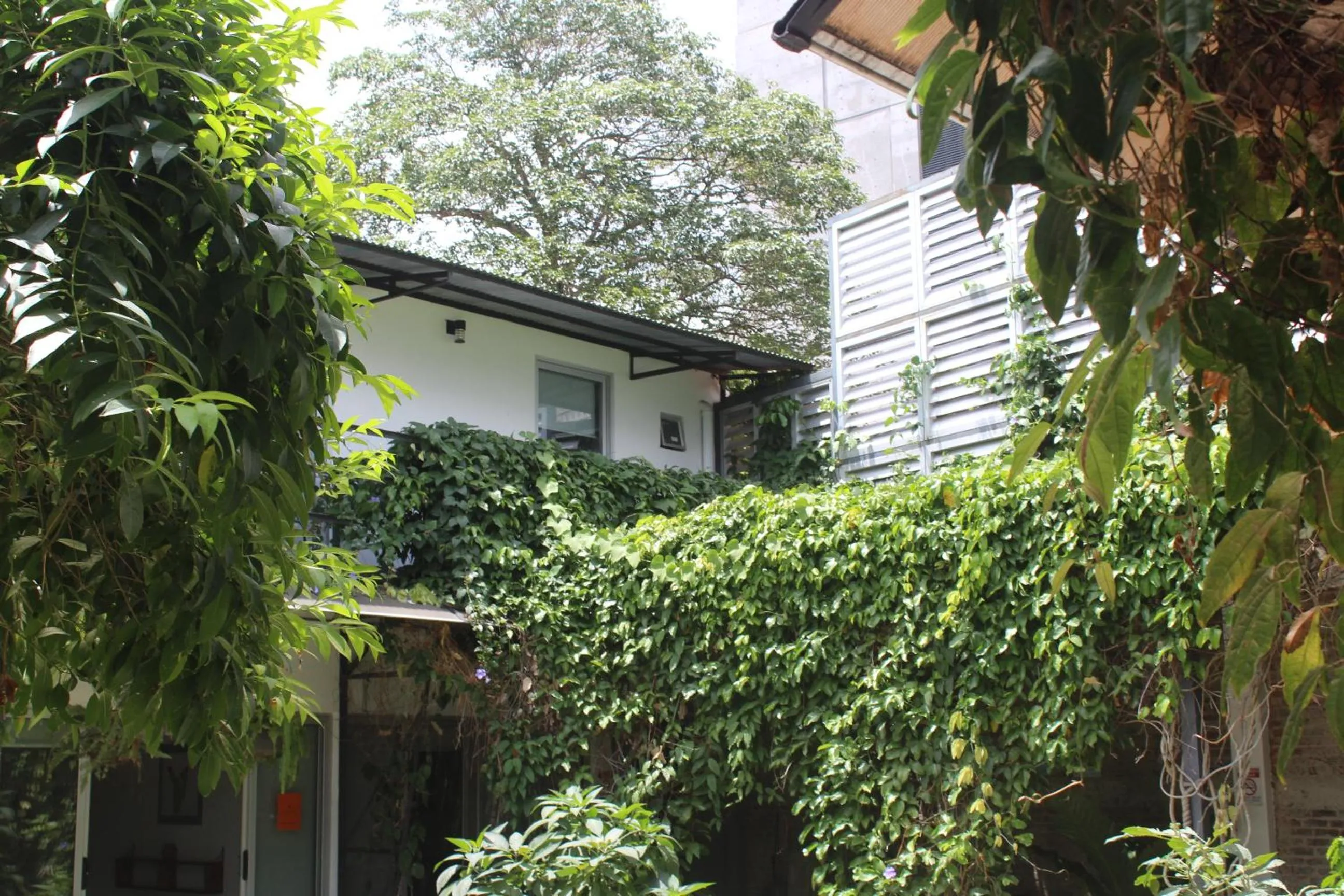 Cando Living Apartments in Central Avenue