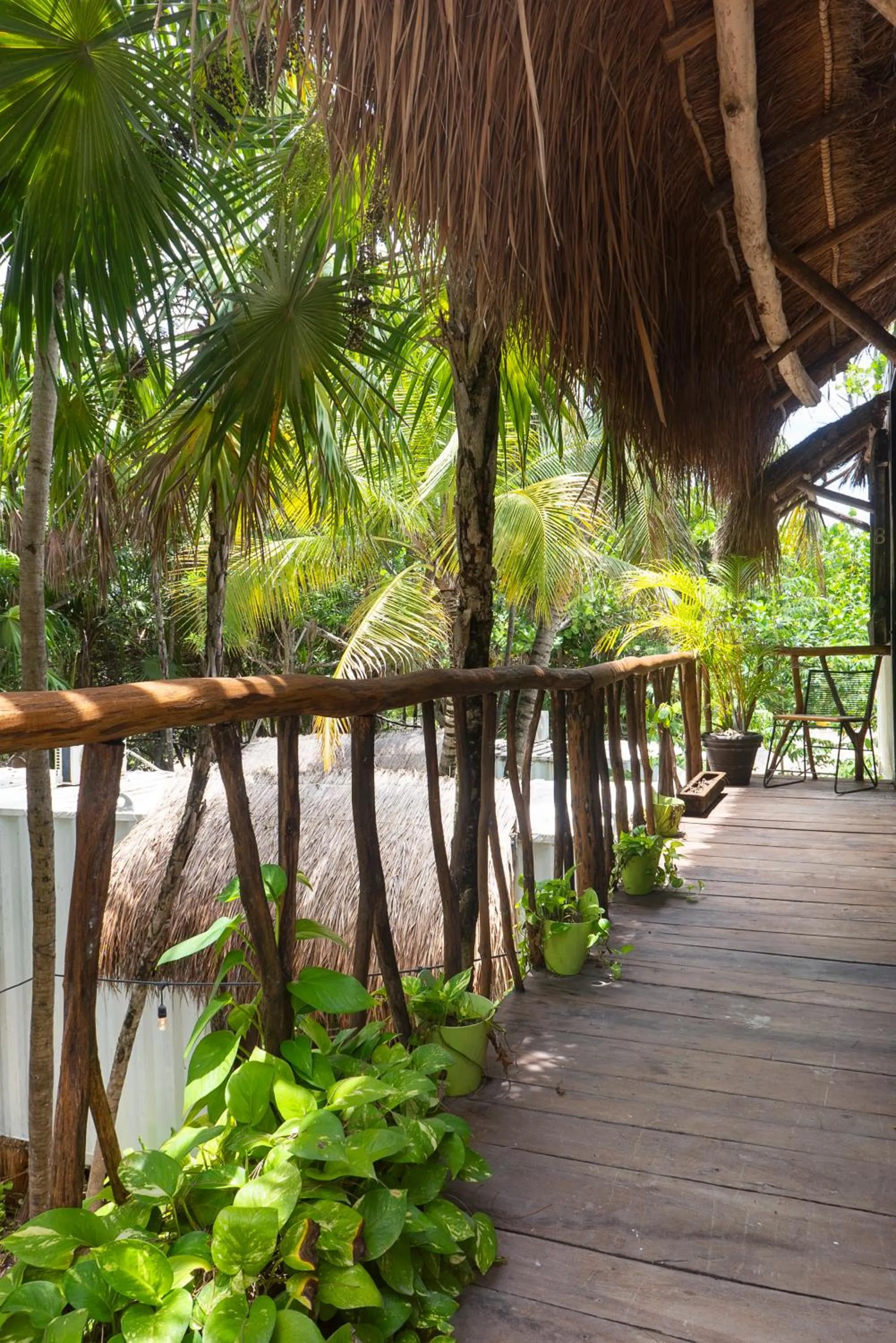 Garden view in Pal Mar Glamtainer Tulum