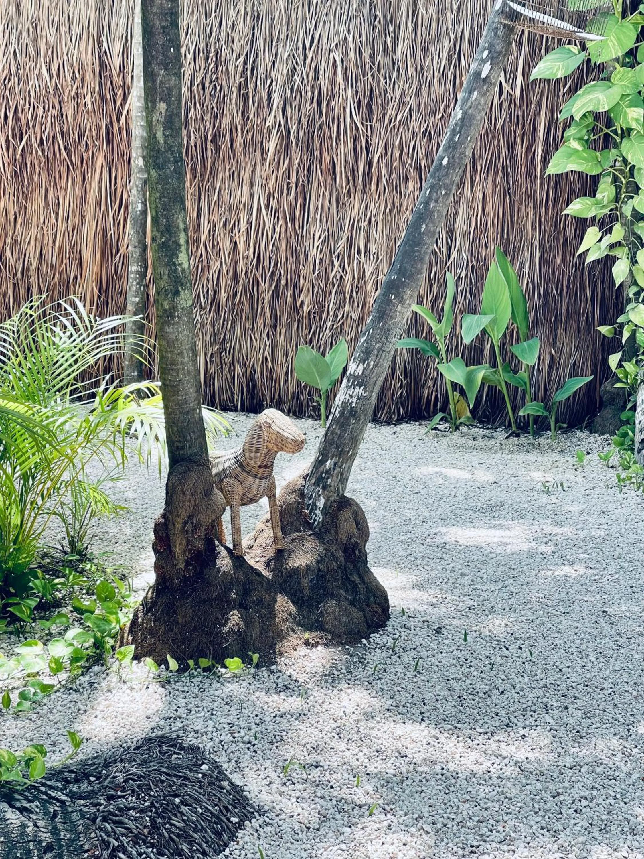 Patio in Pal Mar Glamtainer Tulum