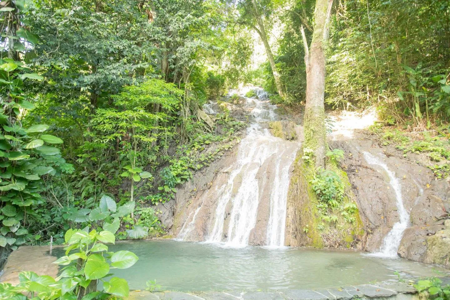 Natural landscape in Platon Ecolodge