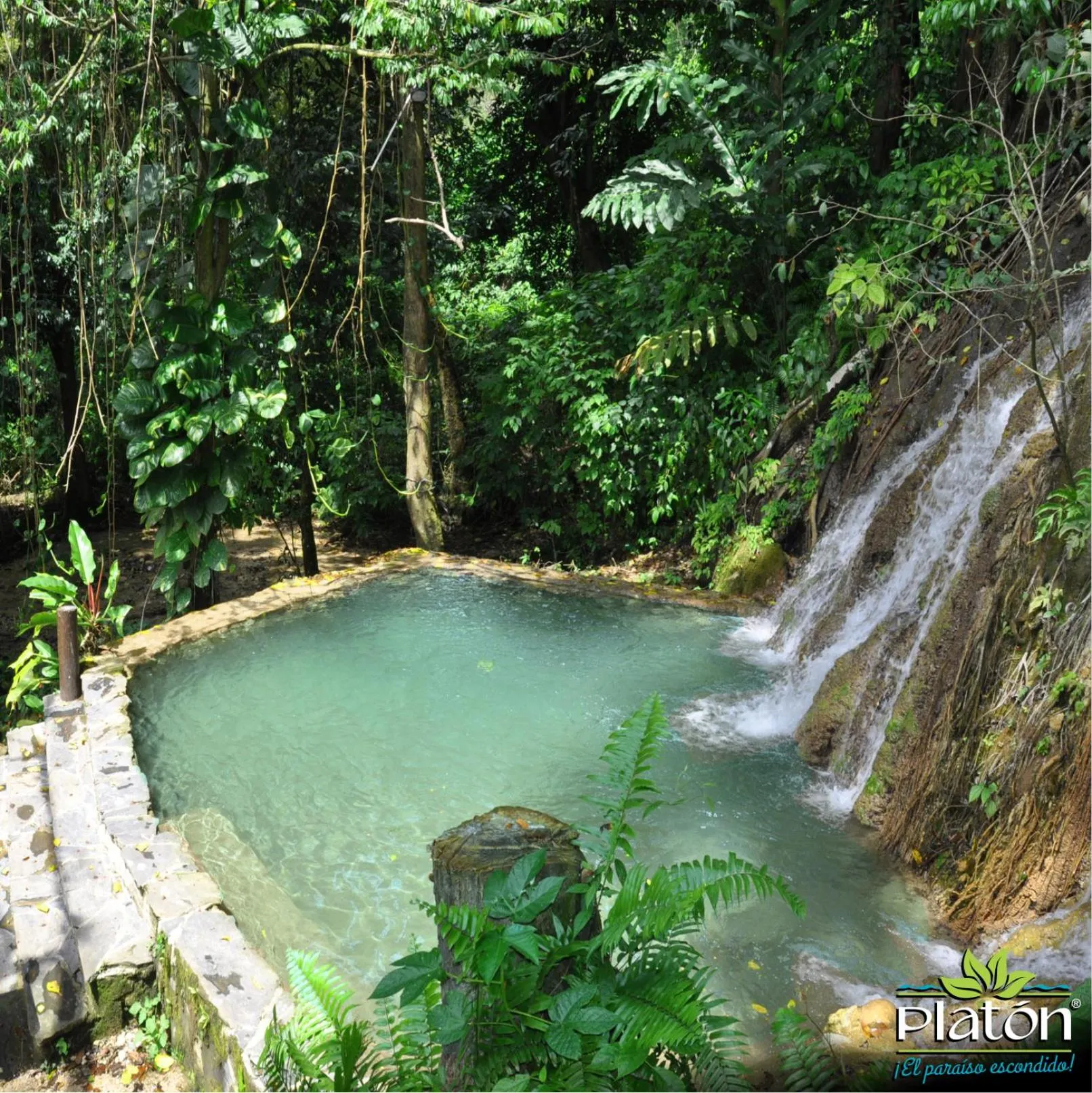 Swimming pool in Platon Ecolodge