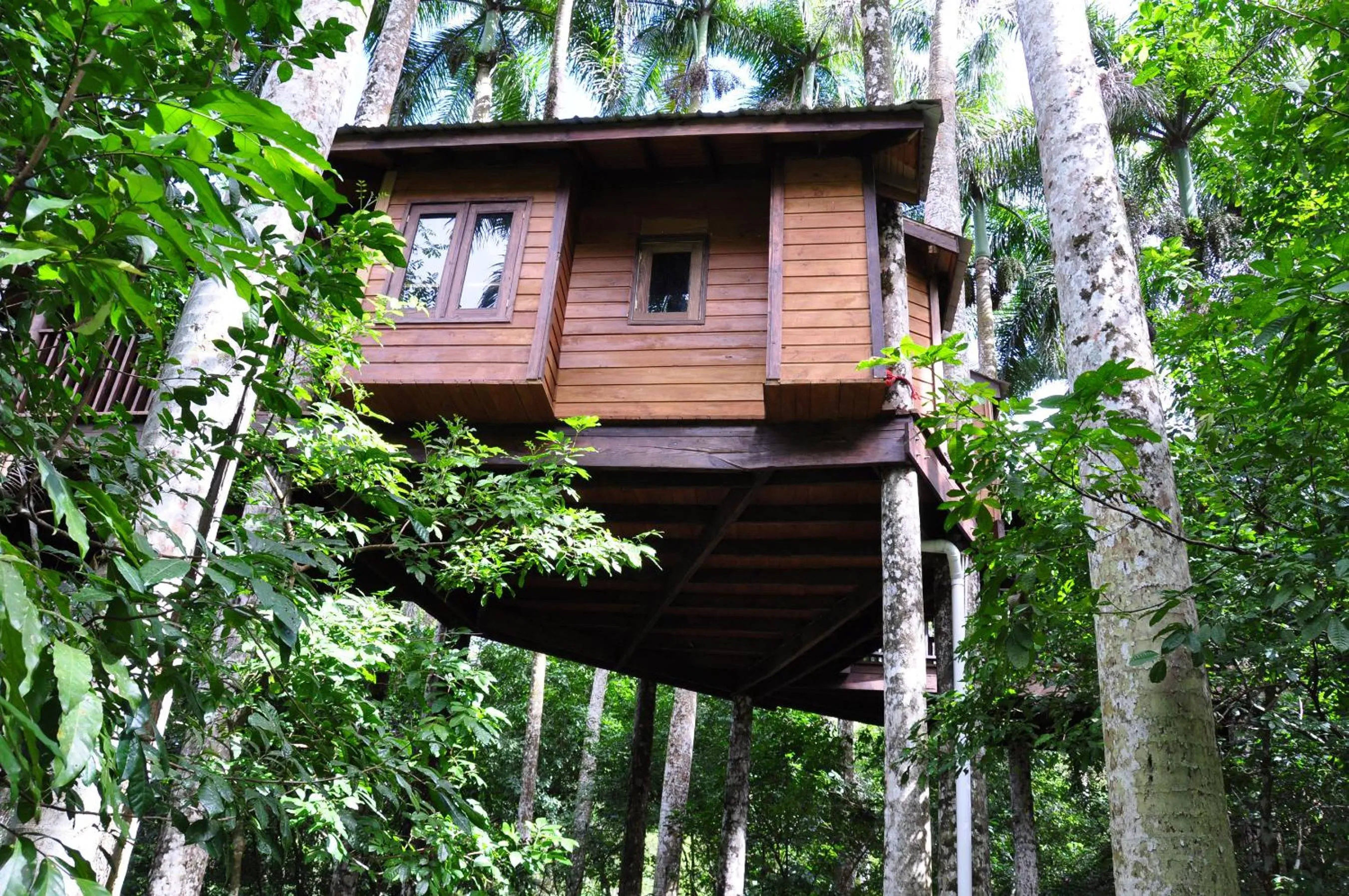 Area and facilities in Platon Ecolodge