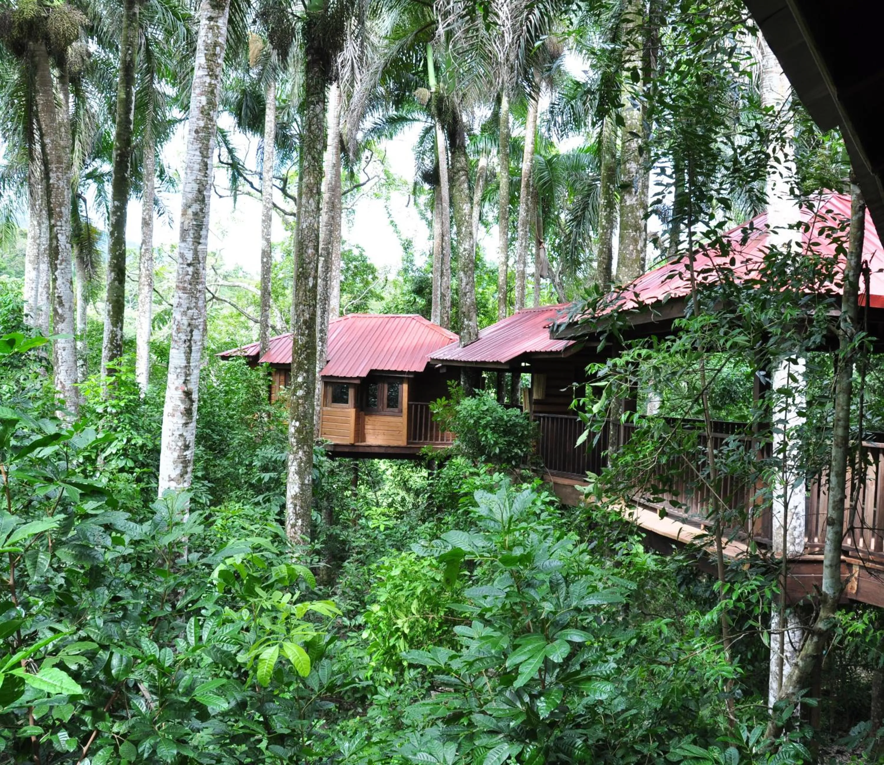 Property building in Platon Ecolodge