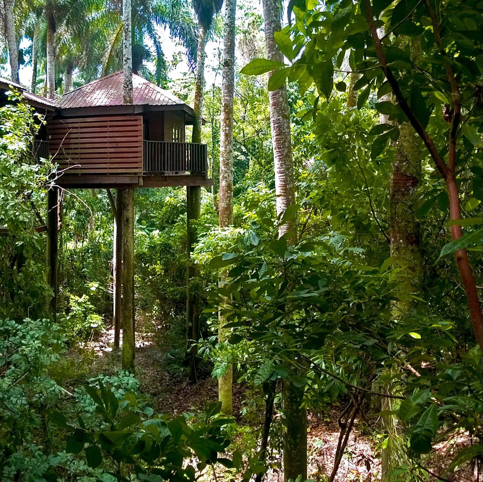 Natural landscape in Platon Ecolodge