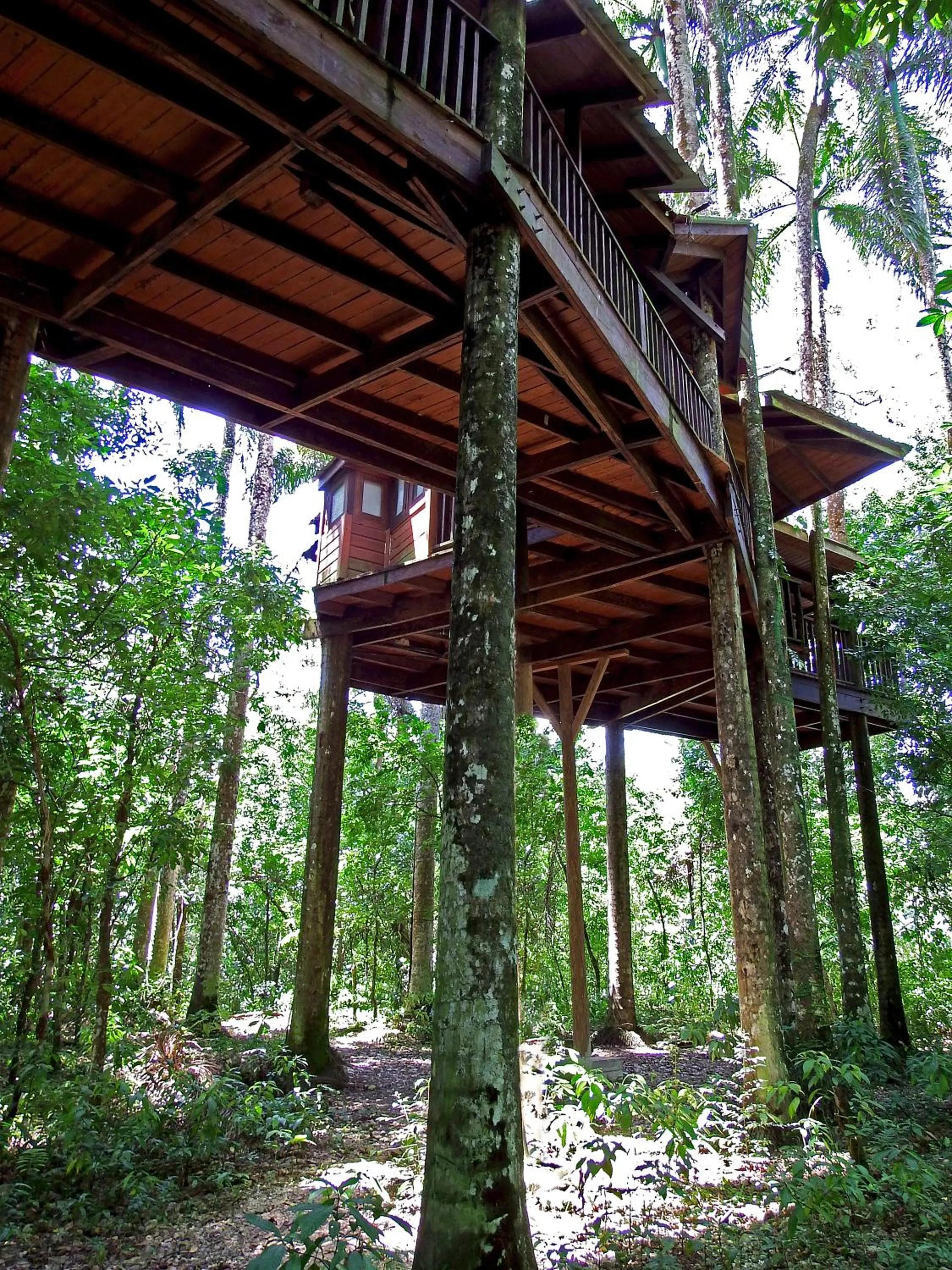 Property building in Platon Ecolodge
