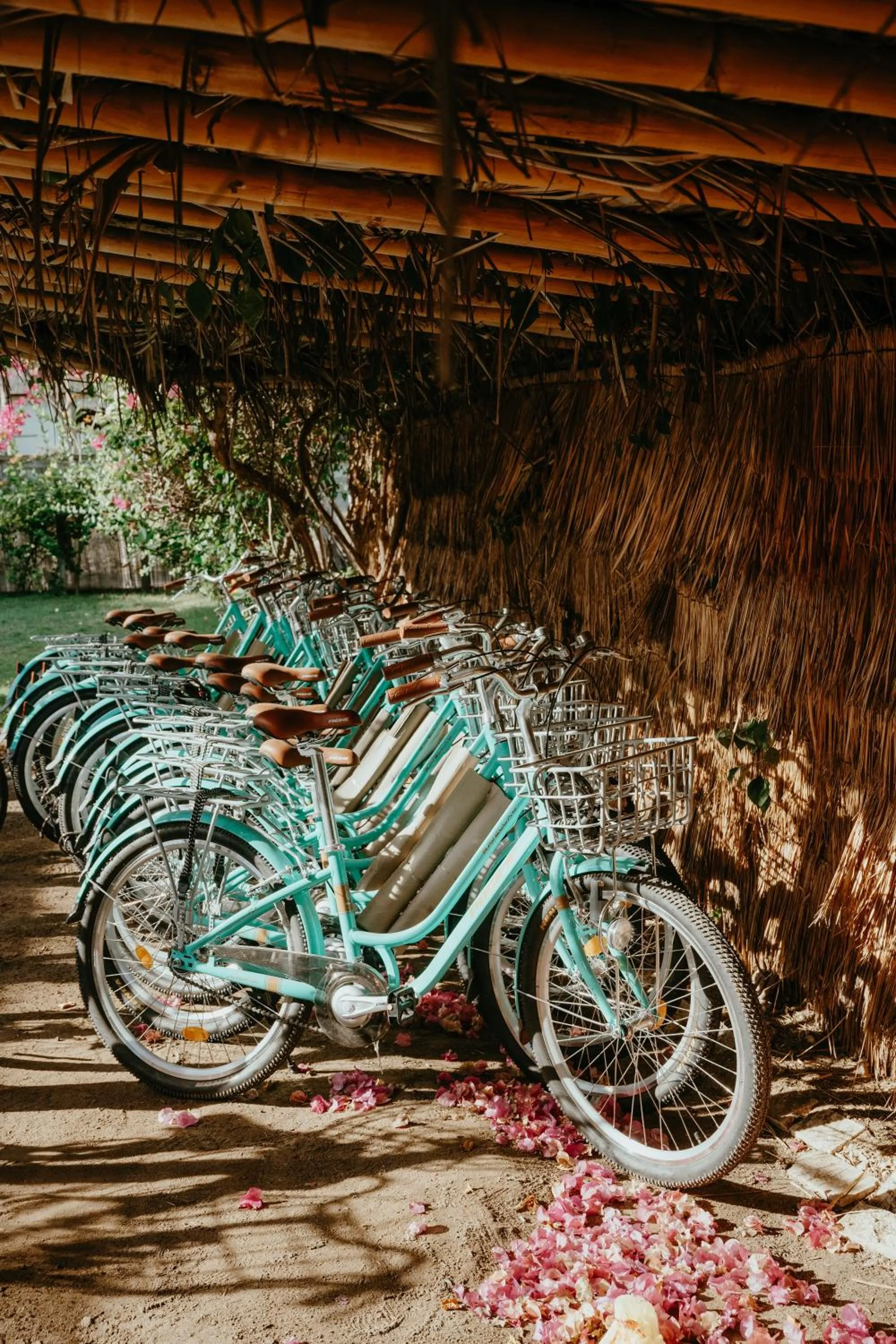 Day in Coco Lemon Gili Resort