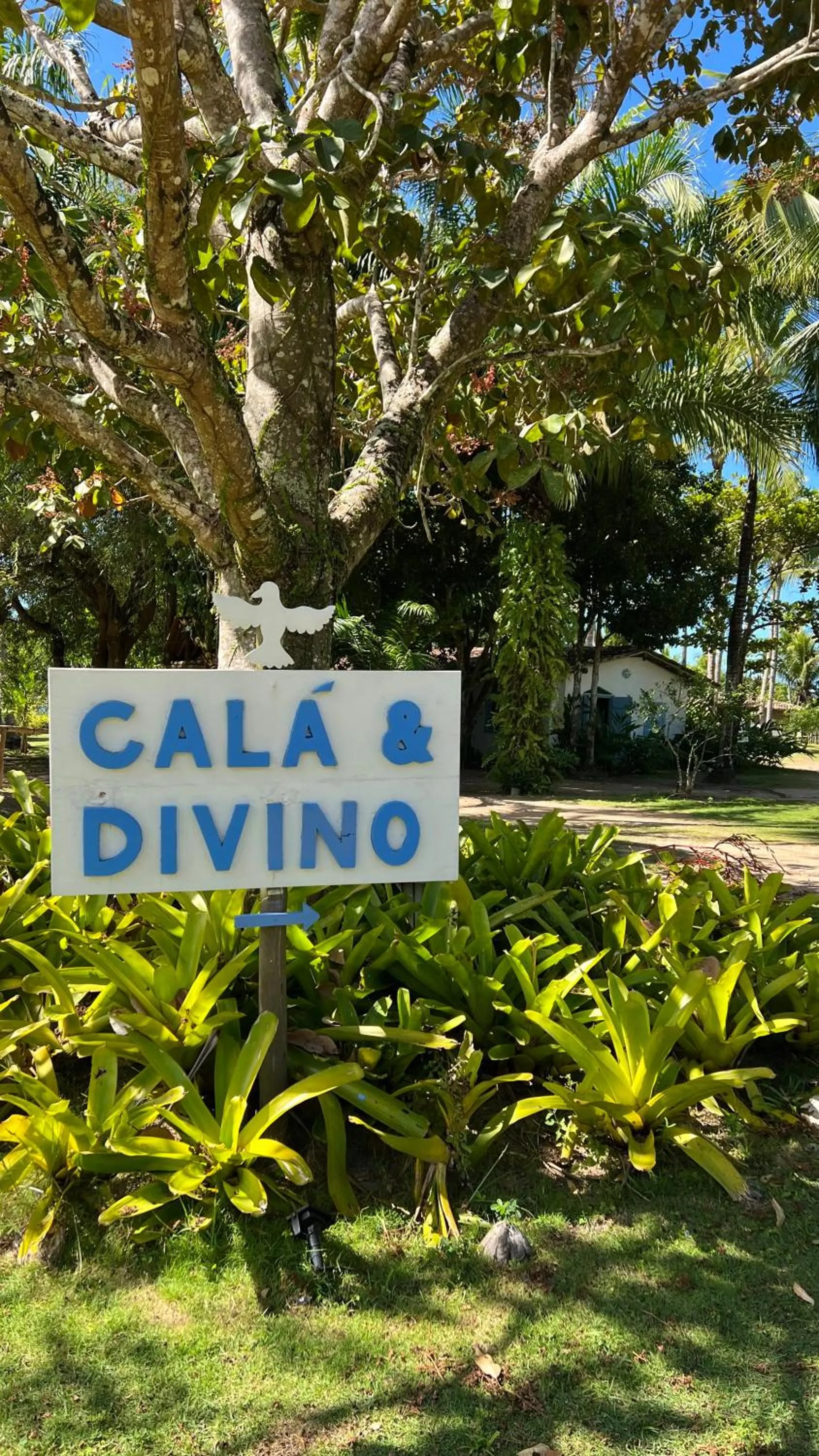 Area and facilities in Hotel Calá & Divino