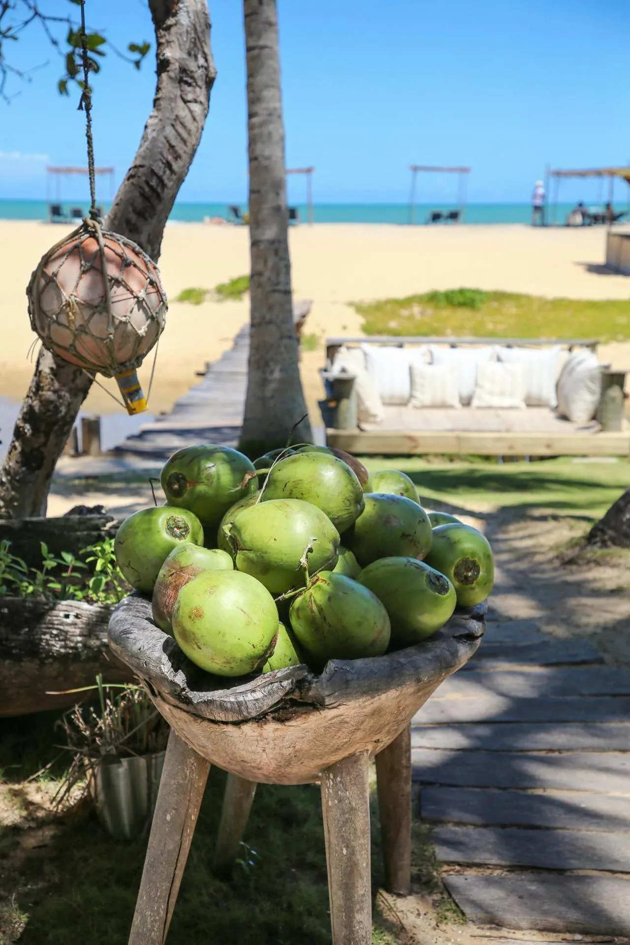 Food and drinks in Hotel Calá & Divino