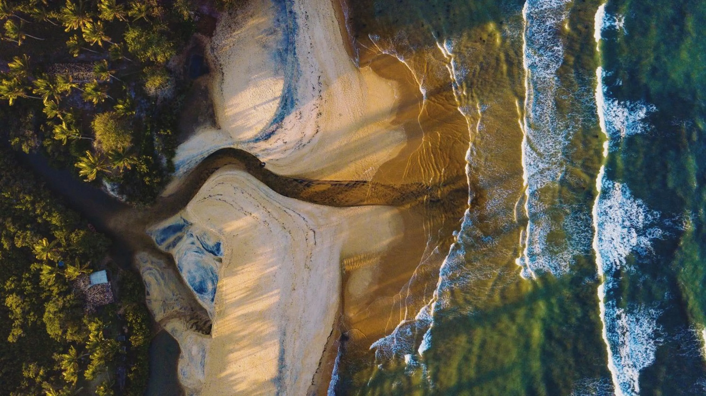 Natural landscape in Hotel Calá & Divino