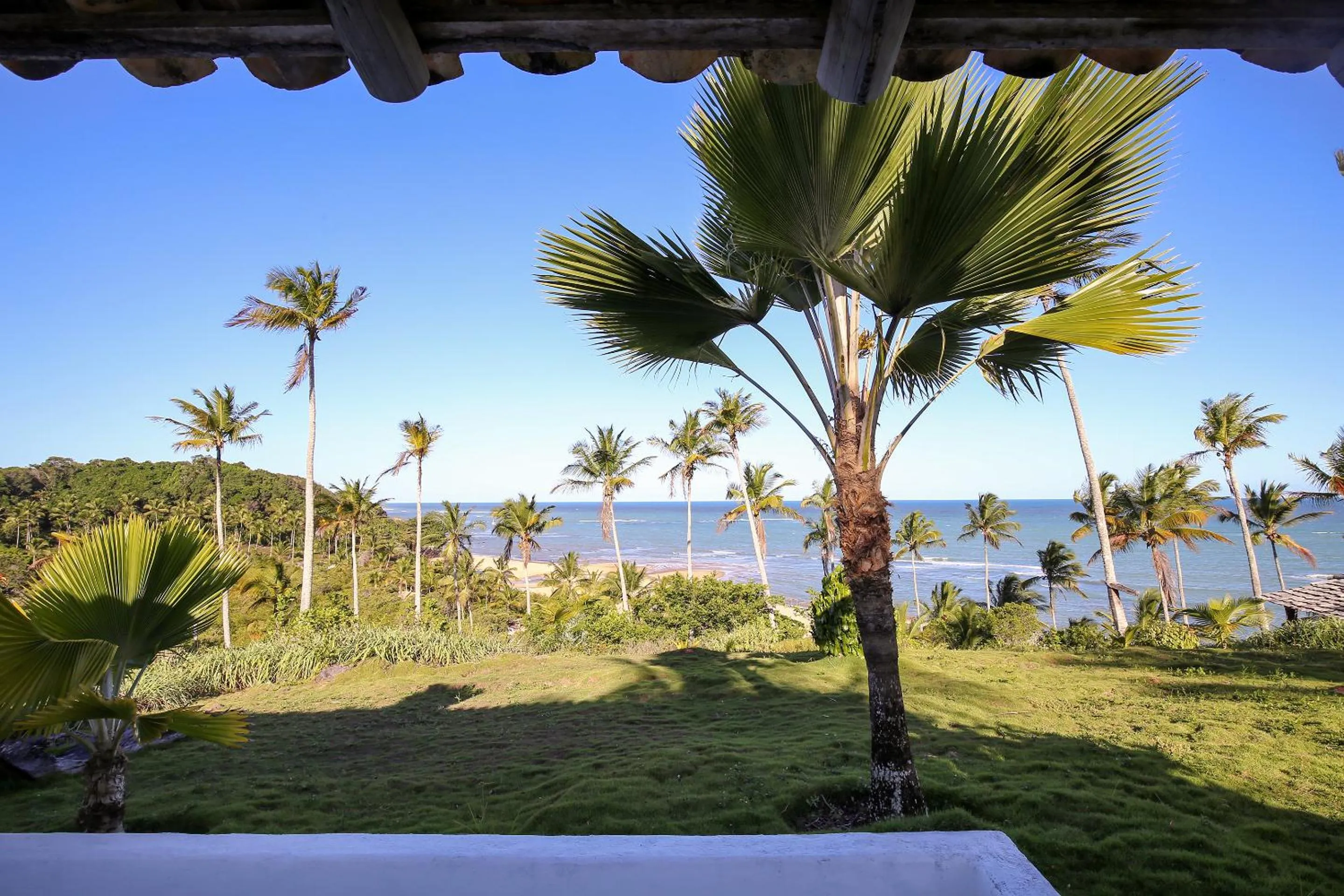 Garden view in Hotel Calá & Divino