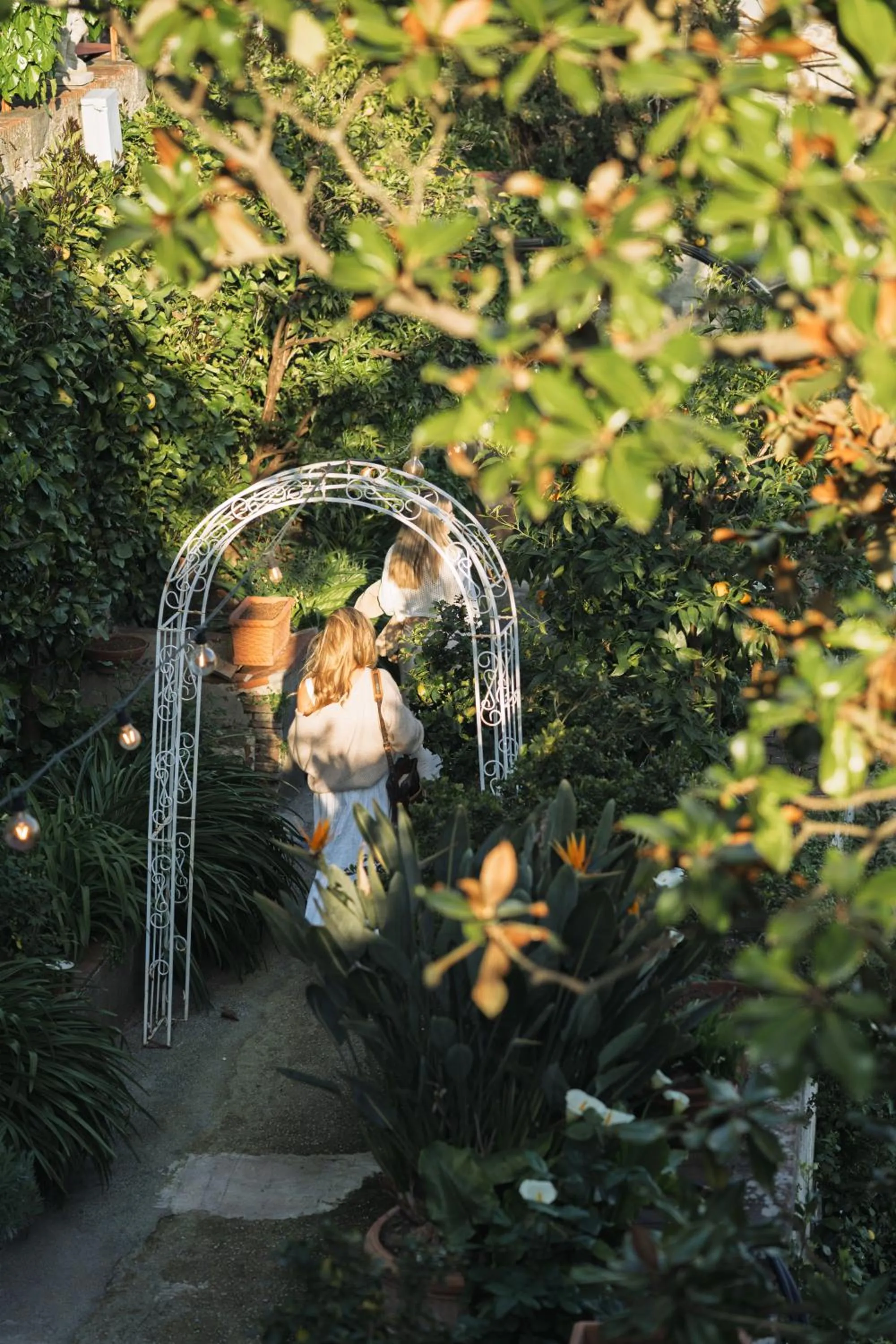 Garden view in Hotel Villa Sermolli