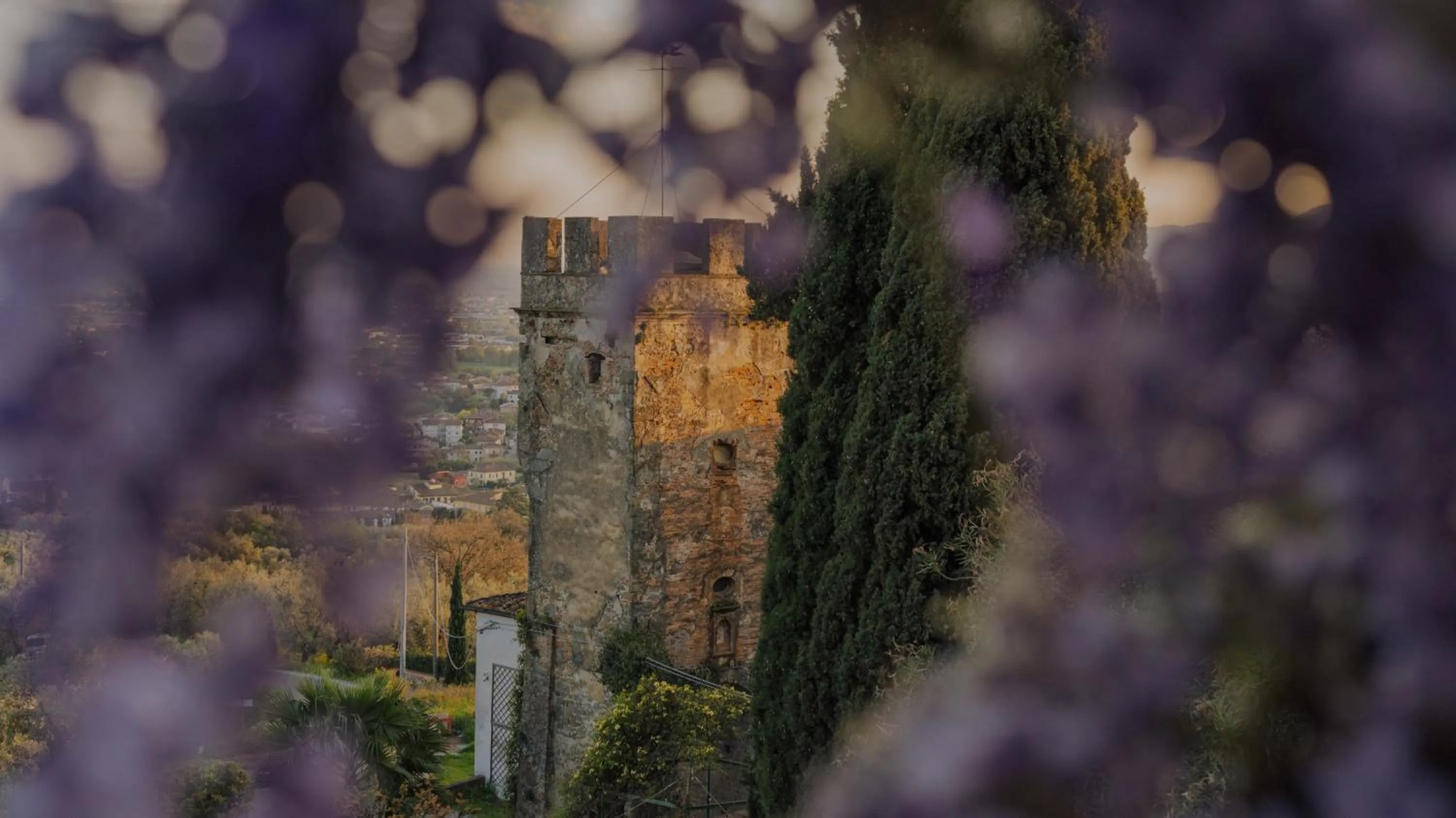 Property building in Hotel Villa Sermolli