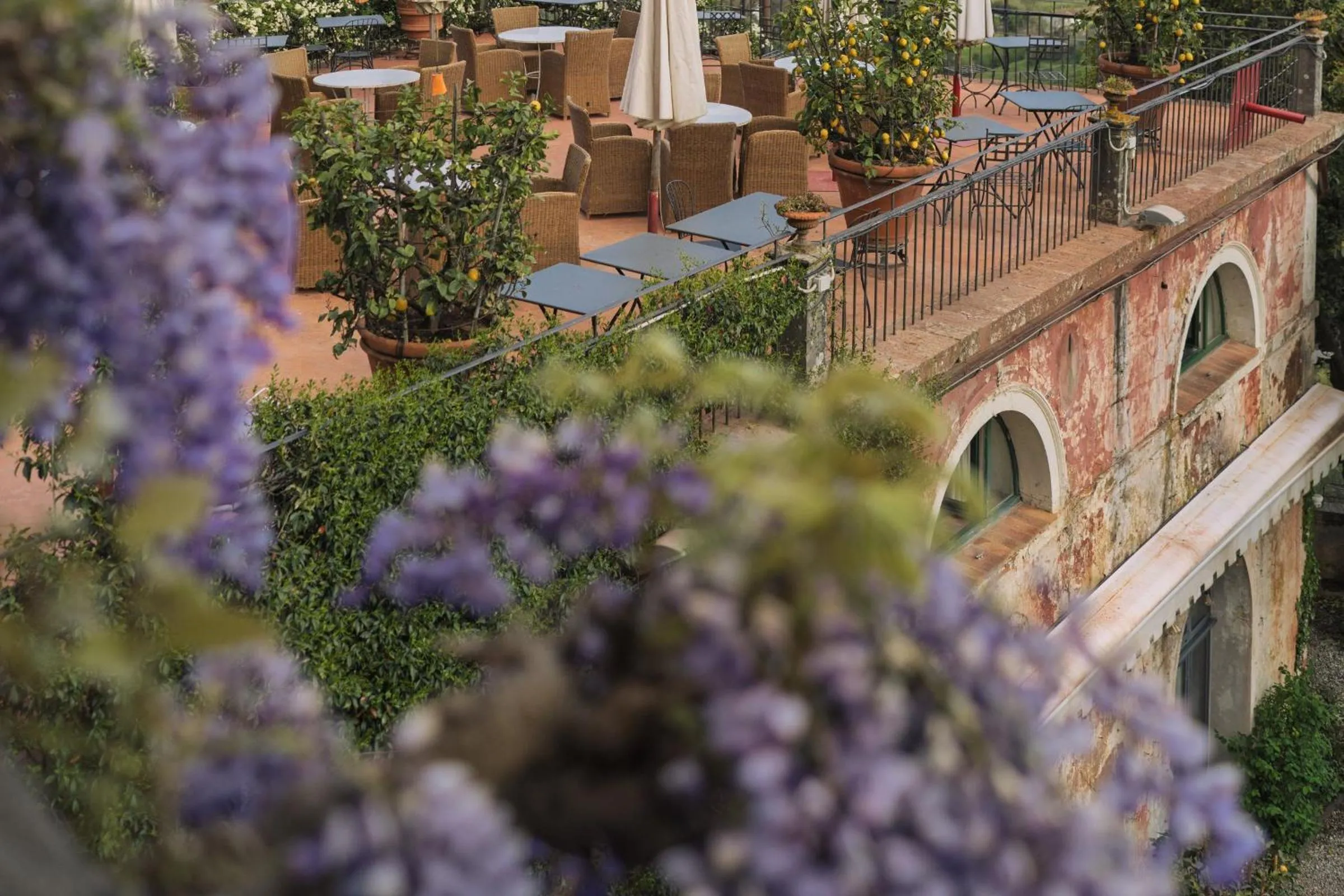 Garden view in Hotel Villa Sermolli