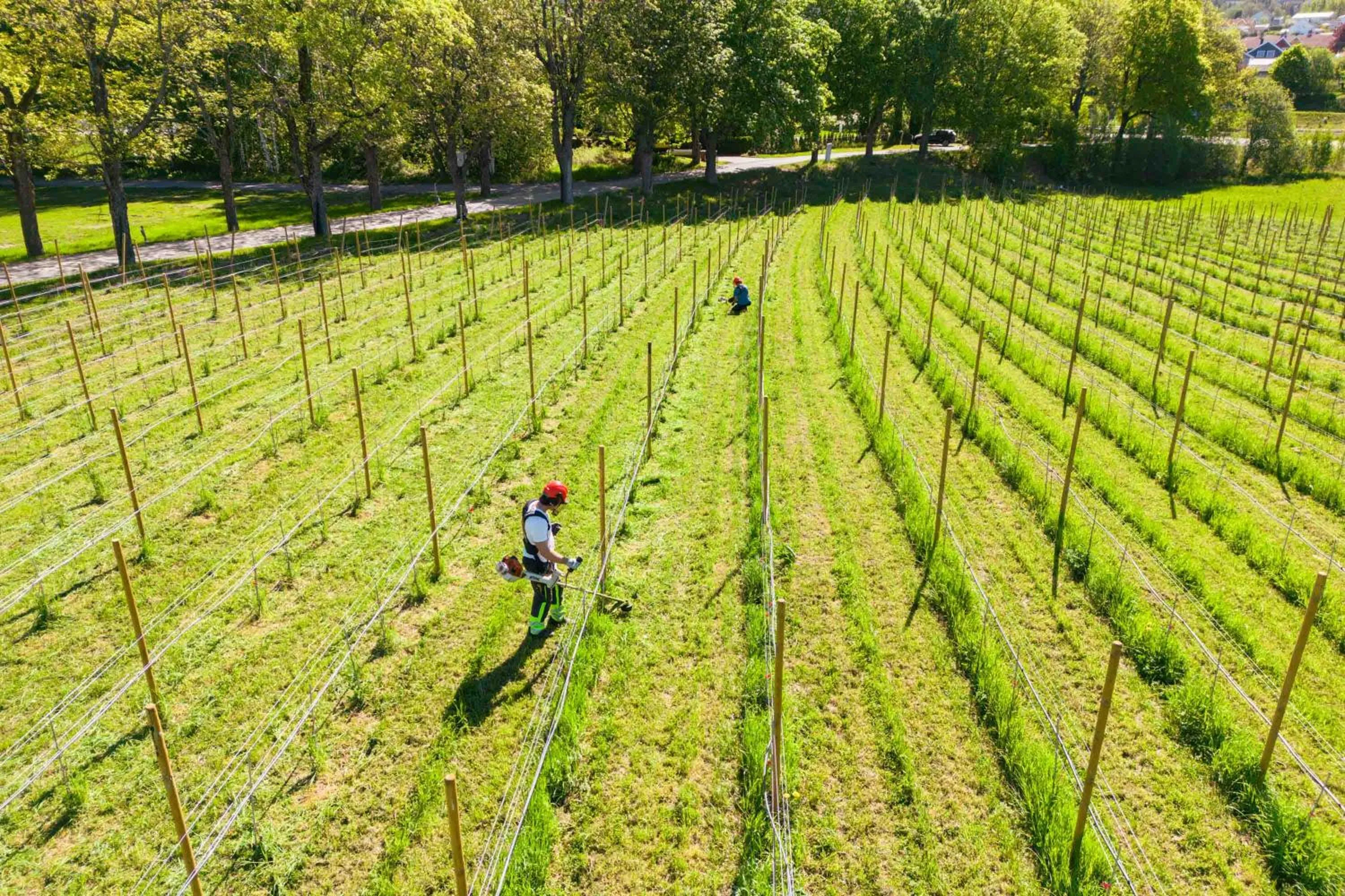 Spring in Thorbjørnrud Hotell