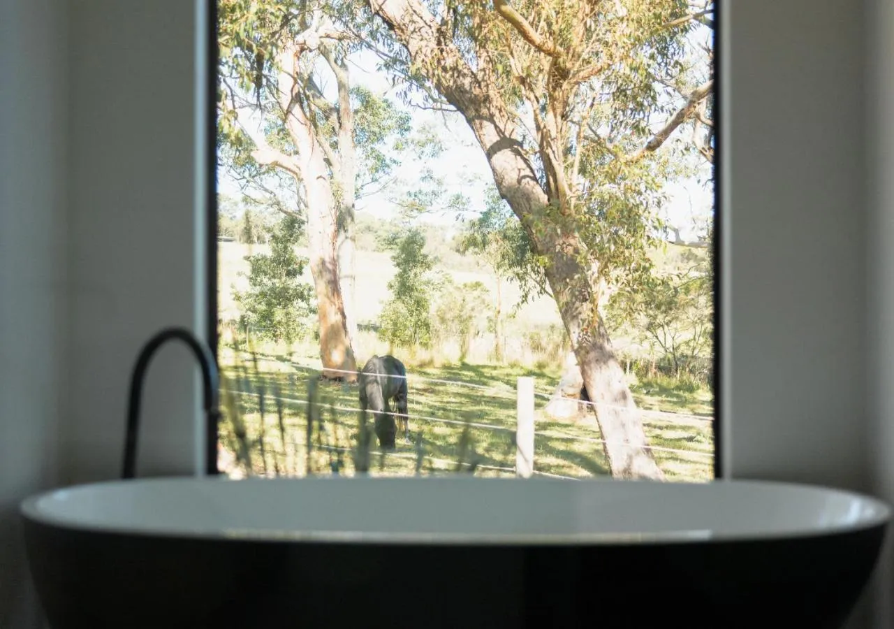 Horse-riding in Glenworth Valley Wilderness Adventures