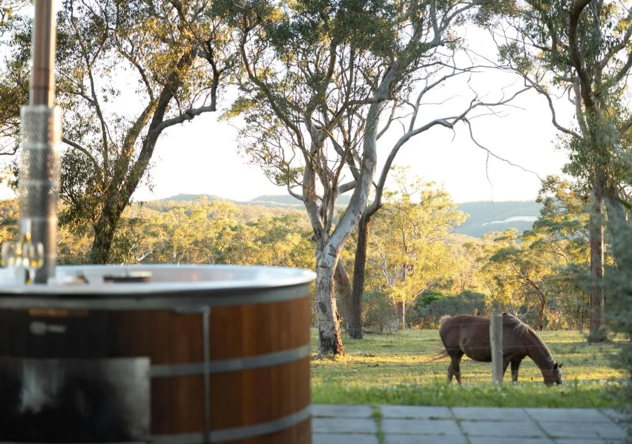Horse-riding in Glenworth Valley Wilderness Adventures