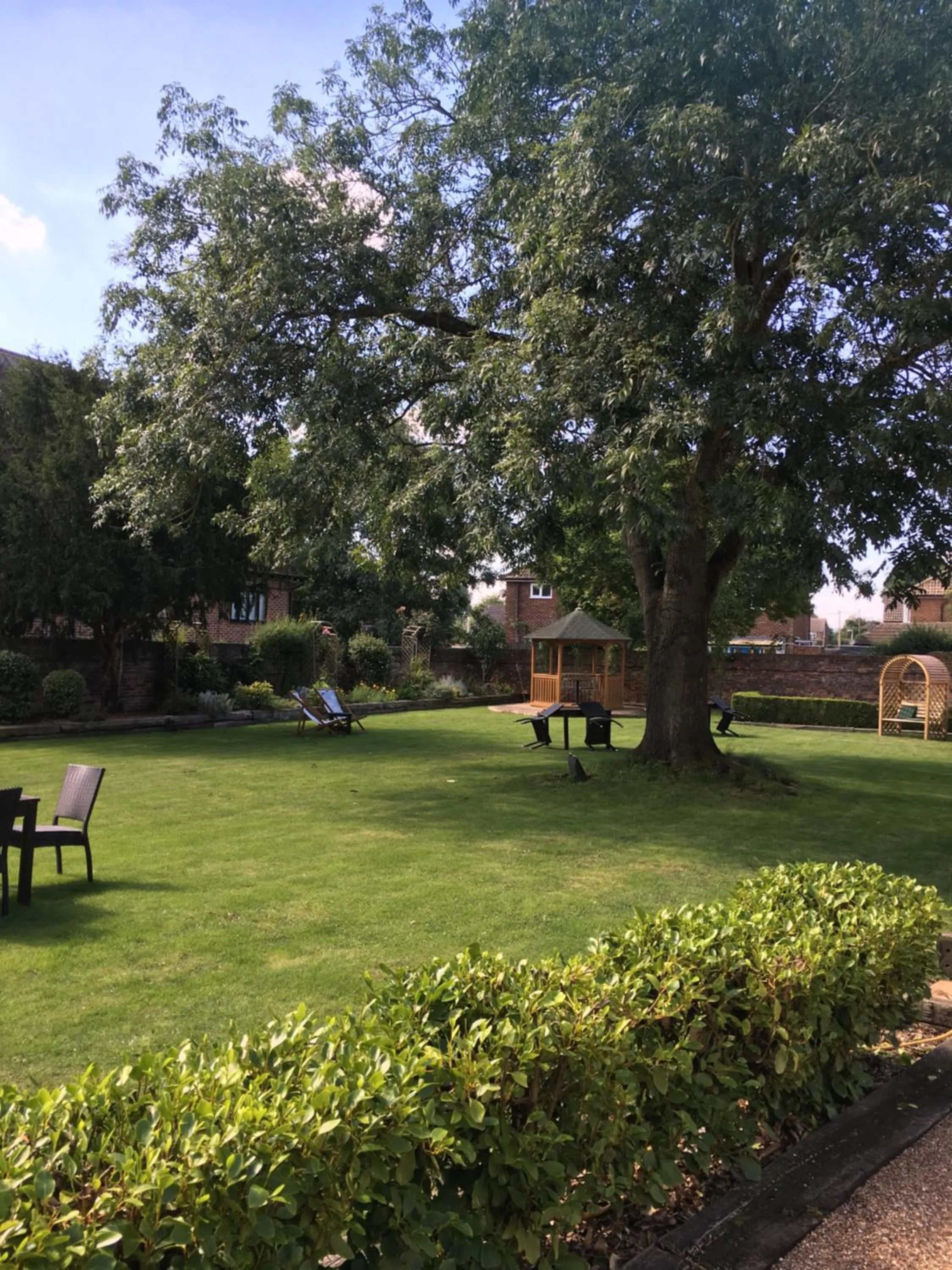 Garden in House of Agnes