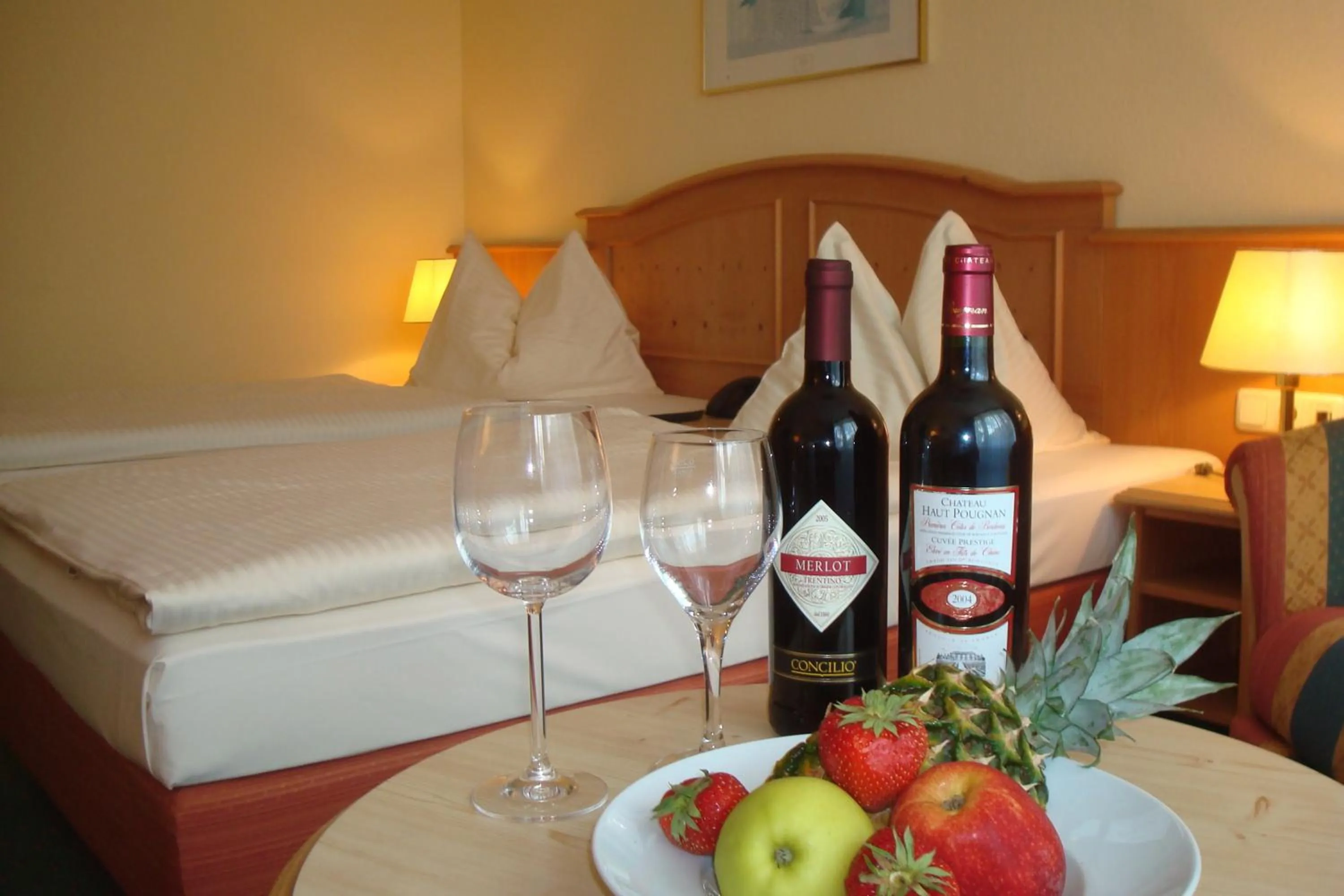 Photo of the whole room in Hotel Holl